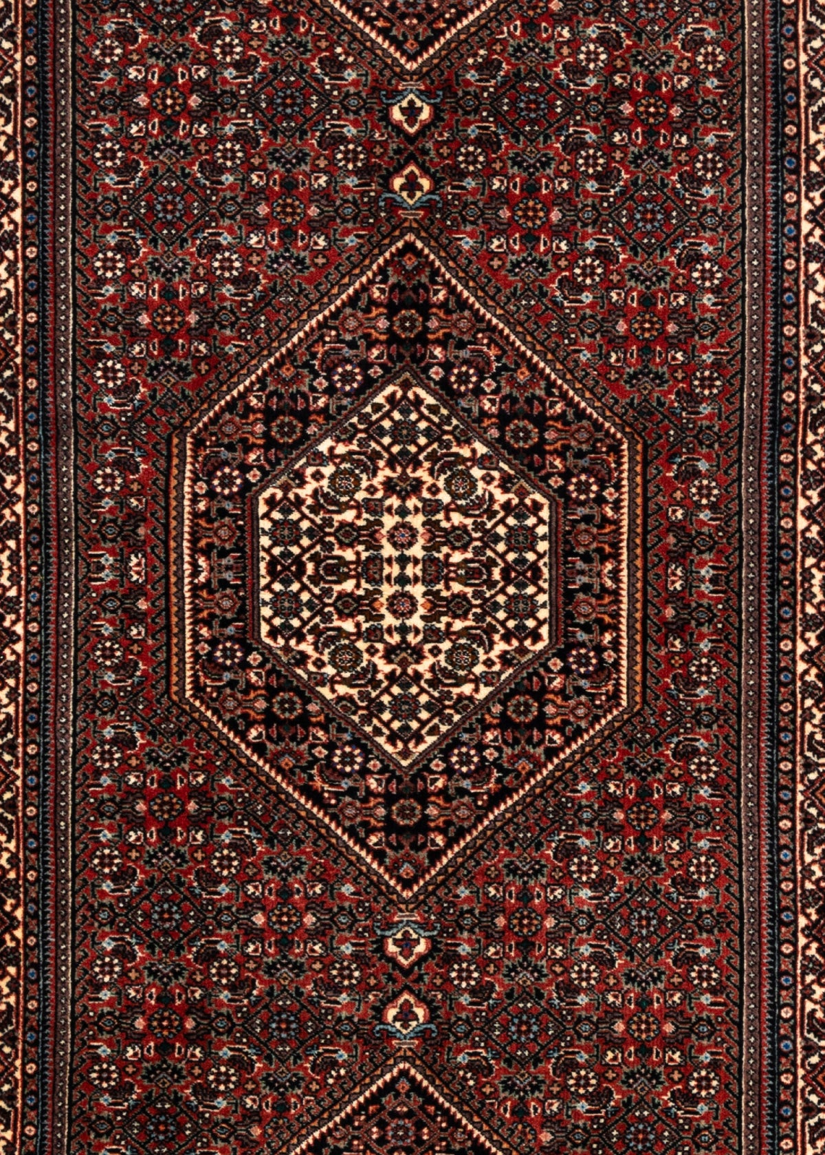 254 x 77 Bidjar