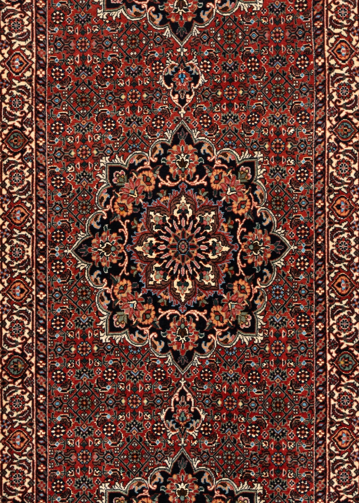 224 x 74 Bidjar