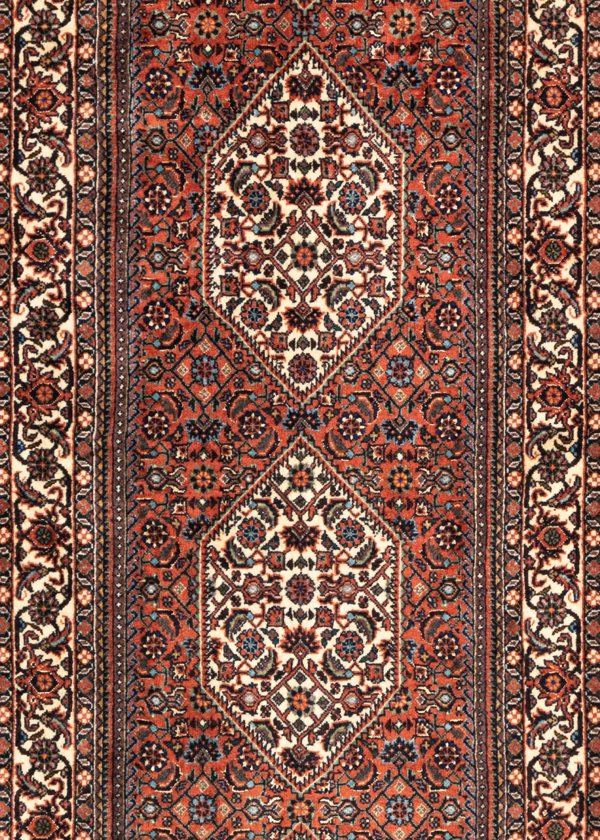 241 x 70 Bidjar