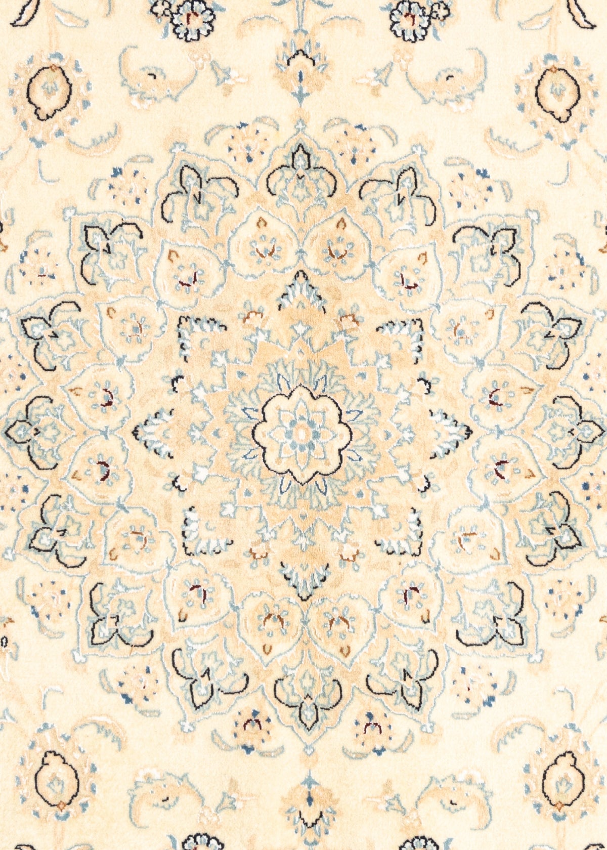293 x 195 Nain 6 La