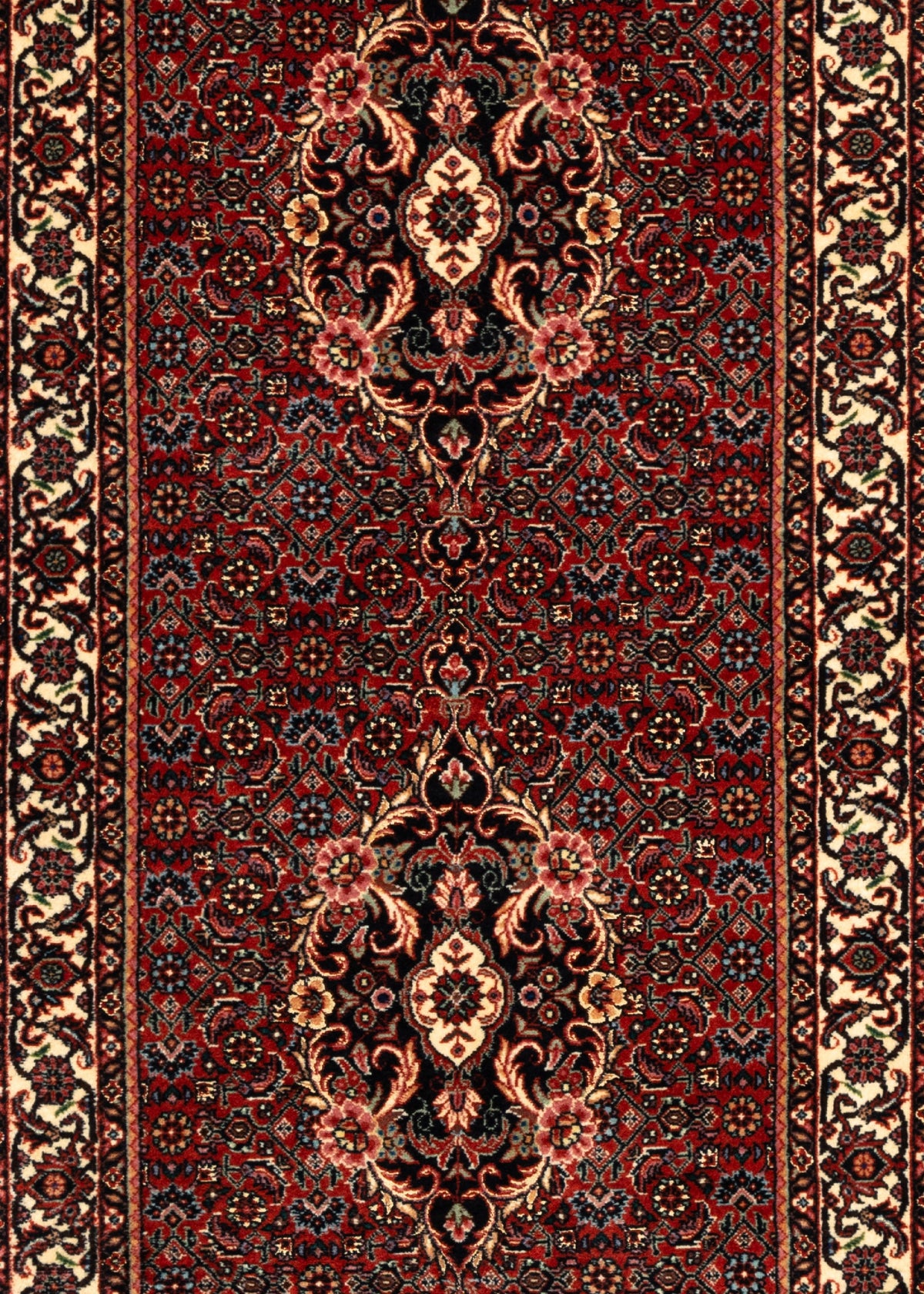 257x73 Bidjar