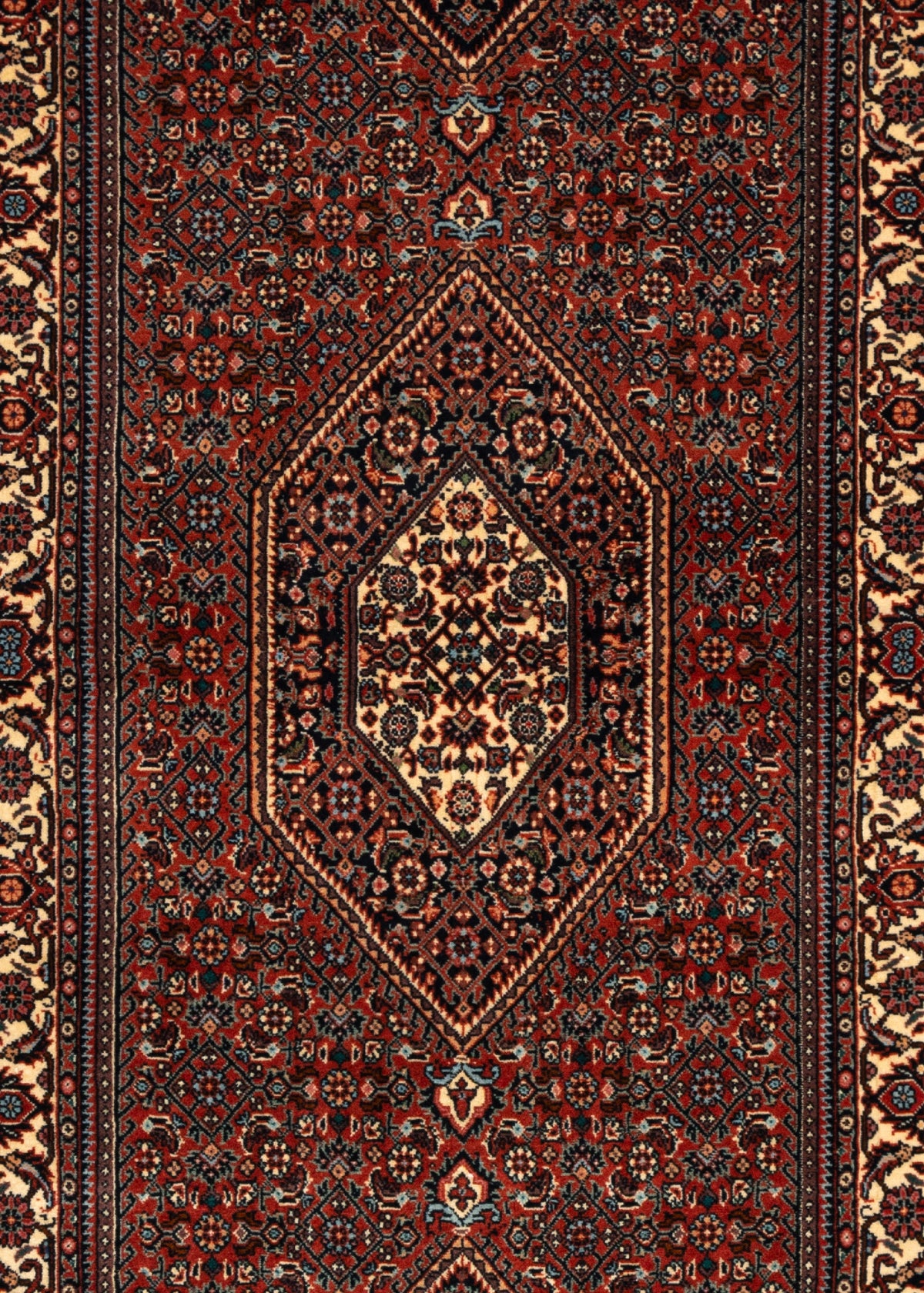 263 x 75 Bidjar