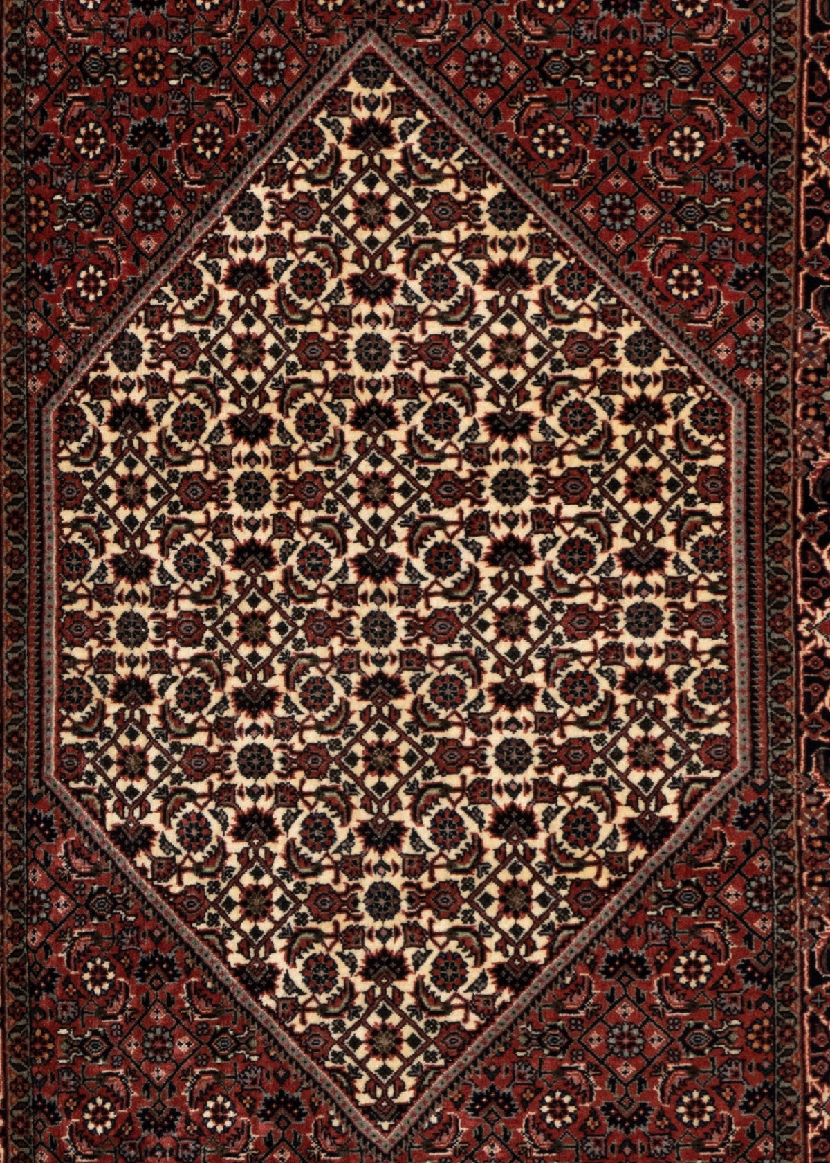 304 x 85 Bidjar