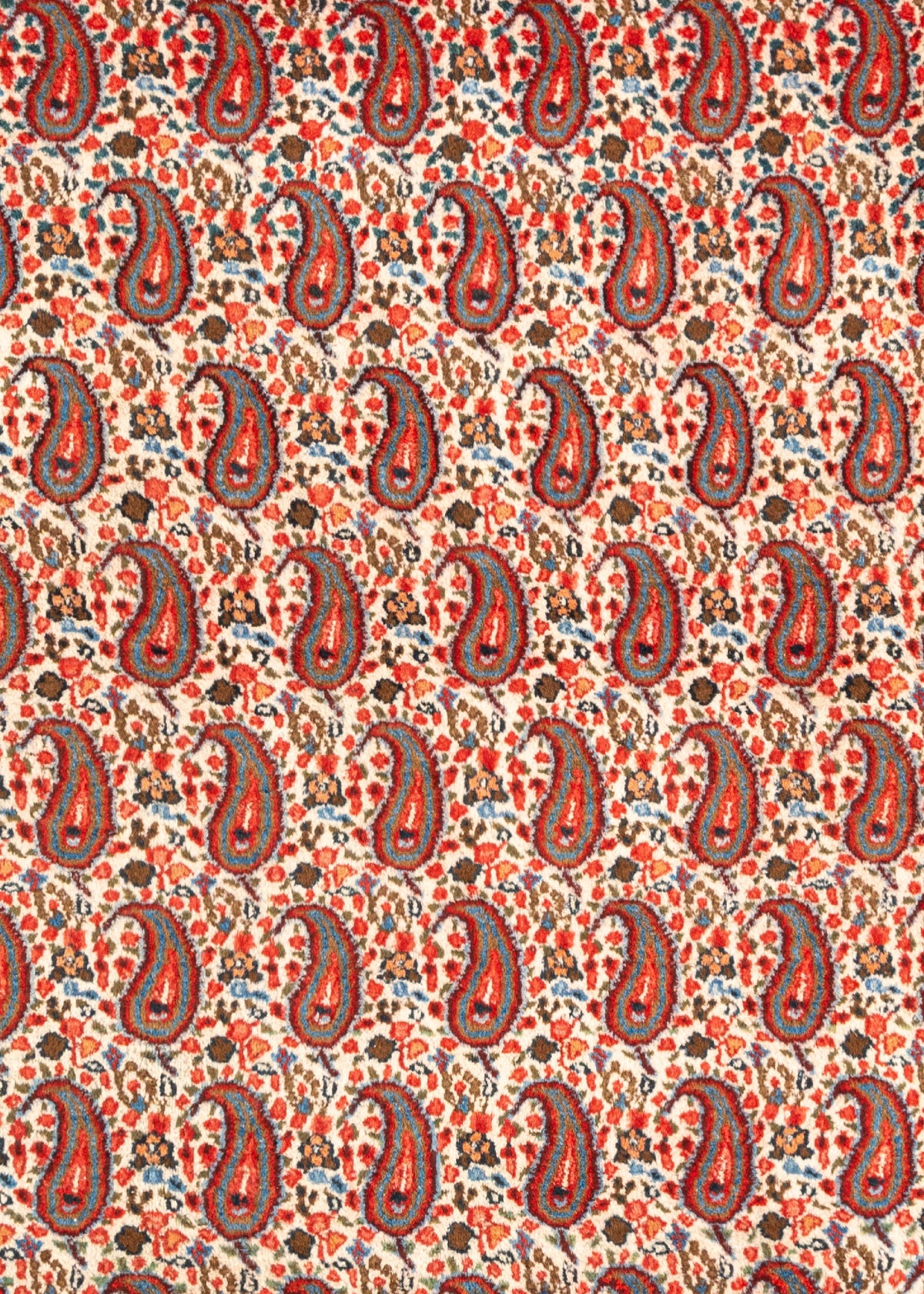 370 x 262 Moud