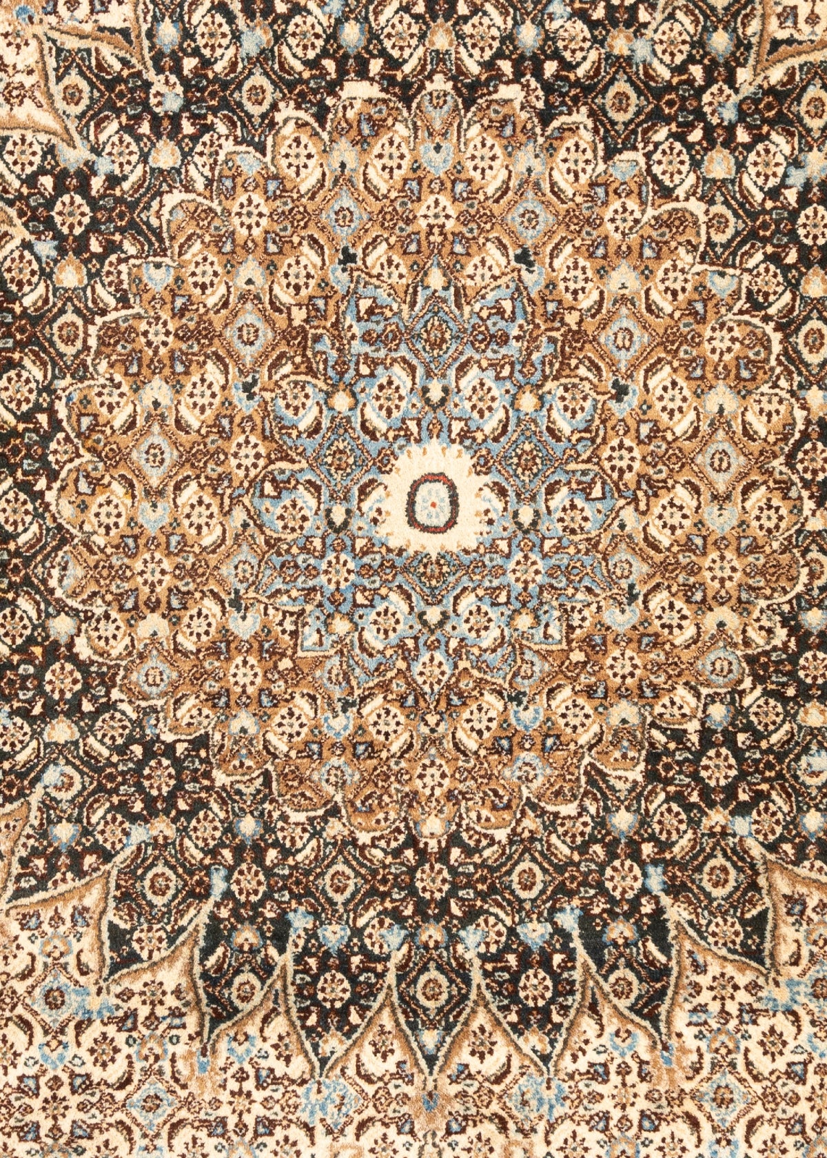 365 x 263 Moud