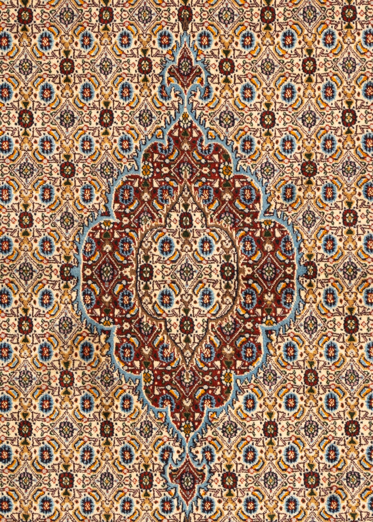 147 x 99 Moud
