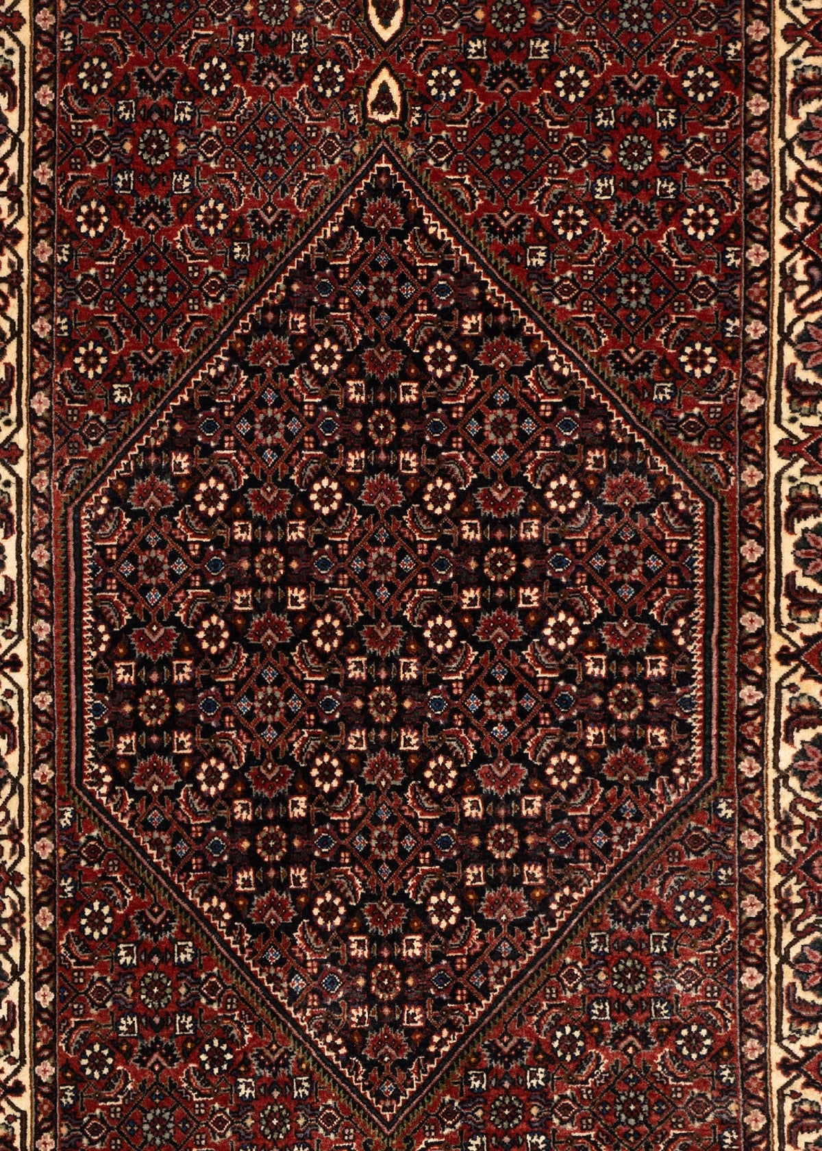 319x84 Bidjar