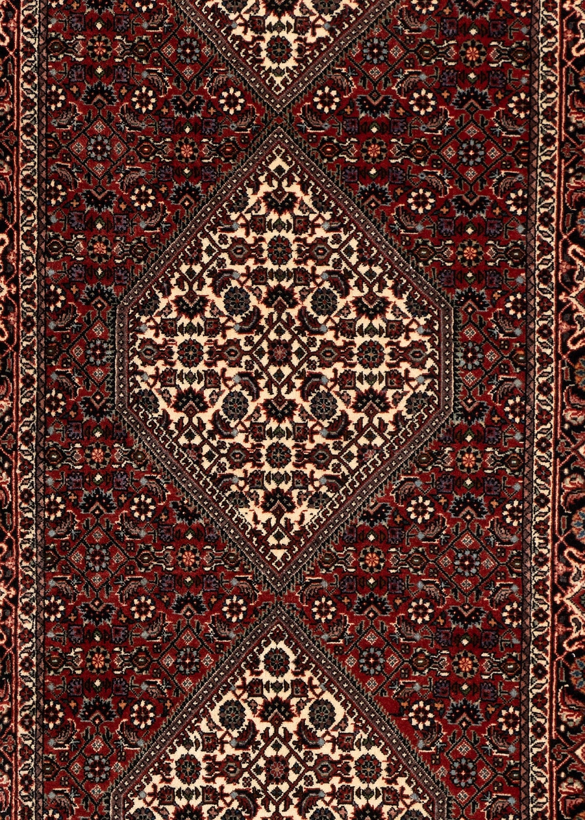 304 x 83 Bidjar