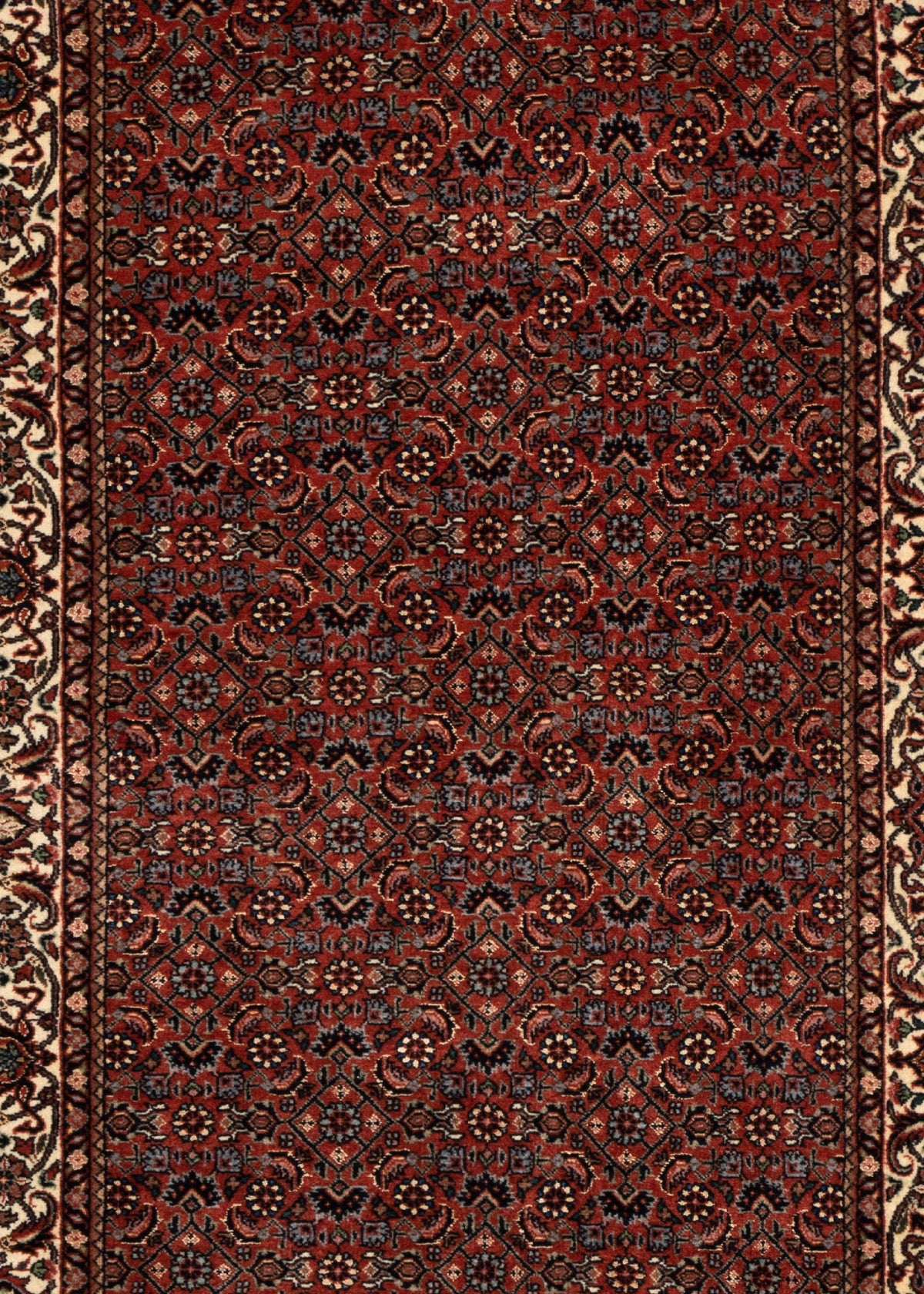 292 x 80 Bidjar