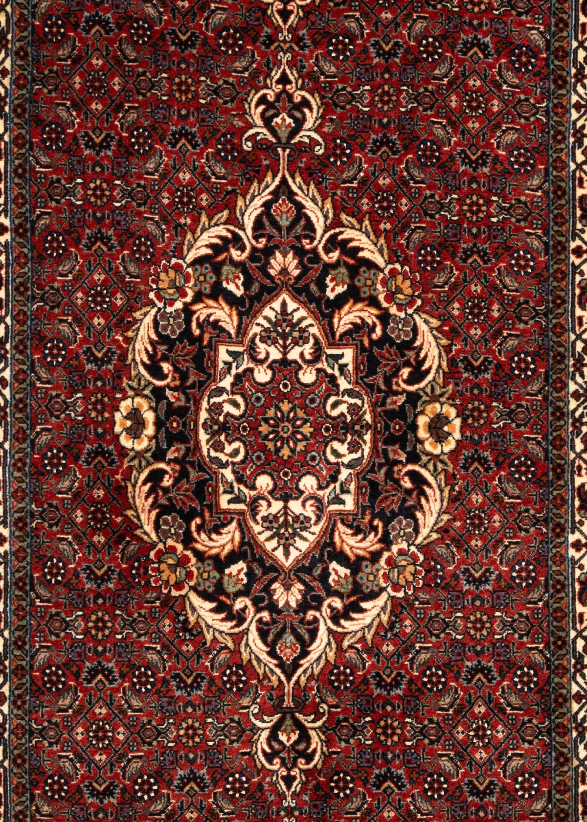 287 x 85 Bidjar