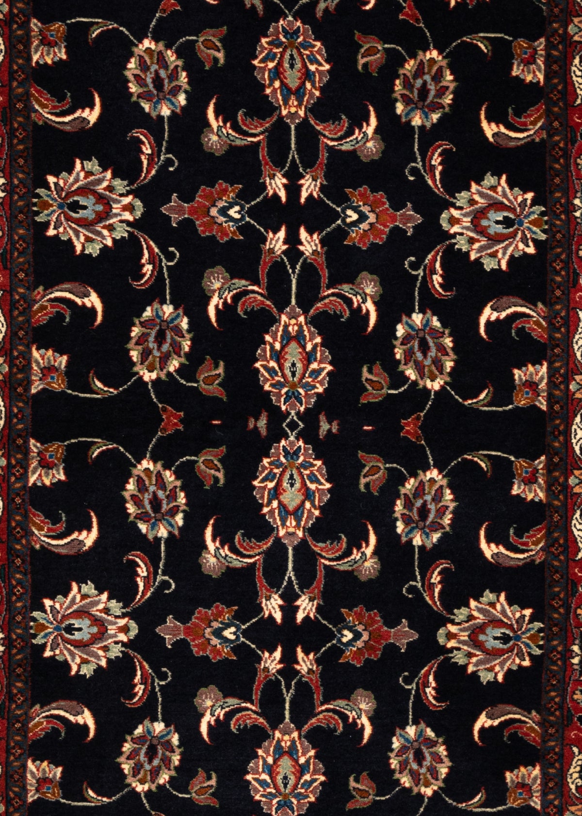 300x81 Bidjar