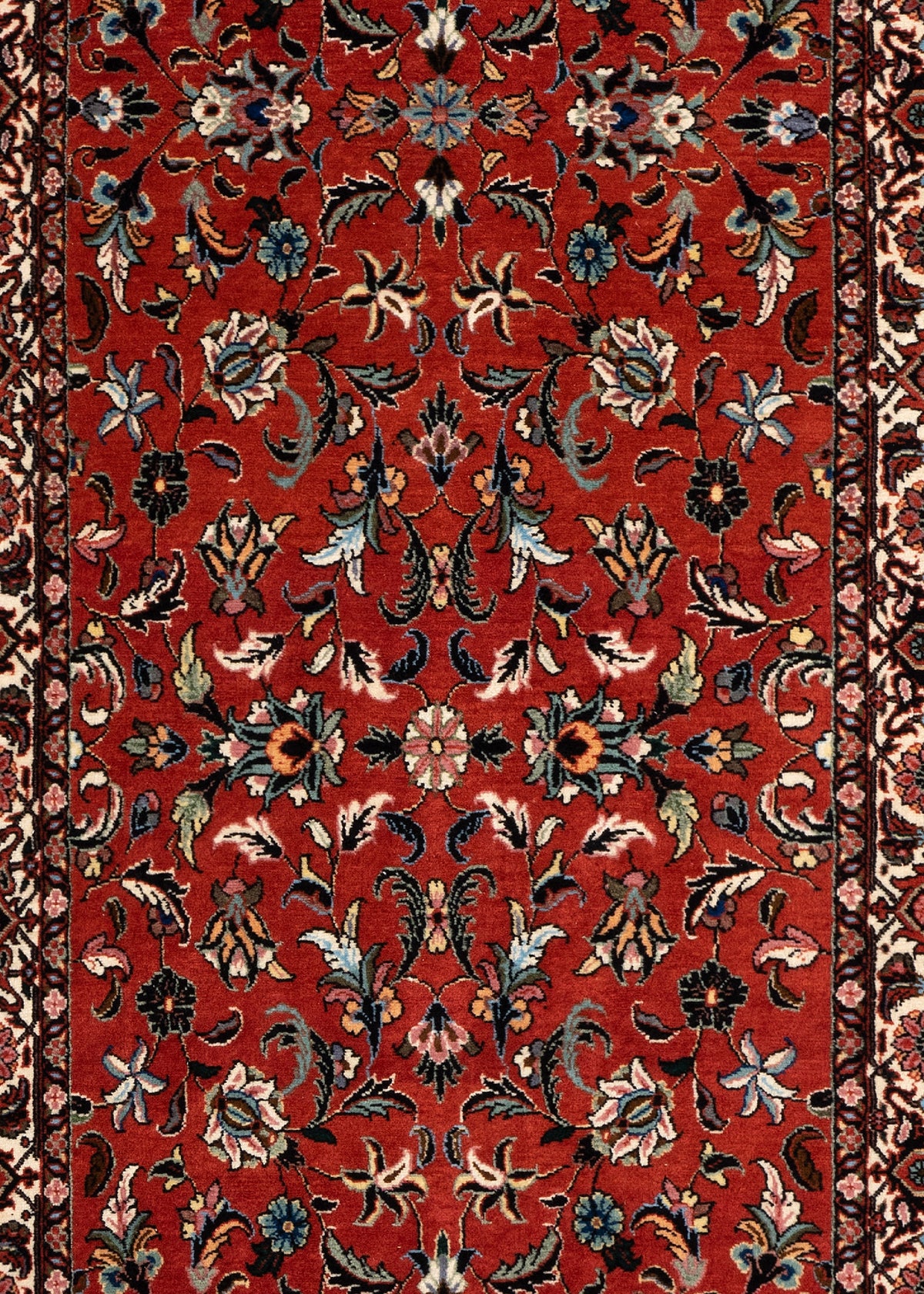 300 x 81 Bidjar