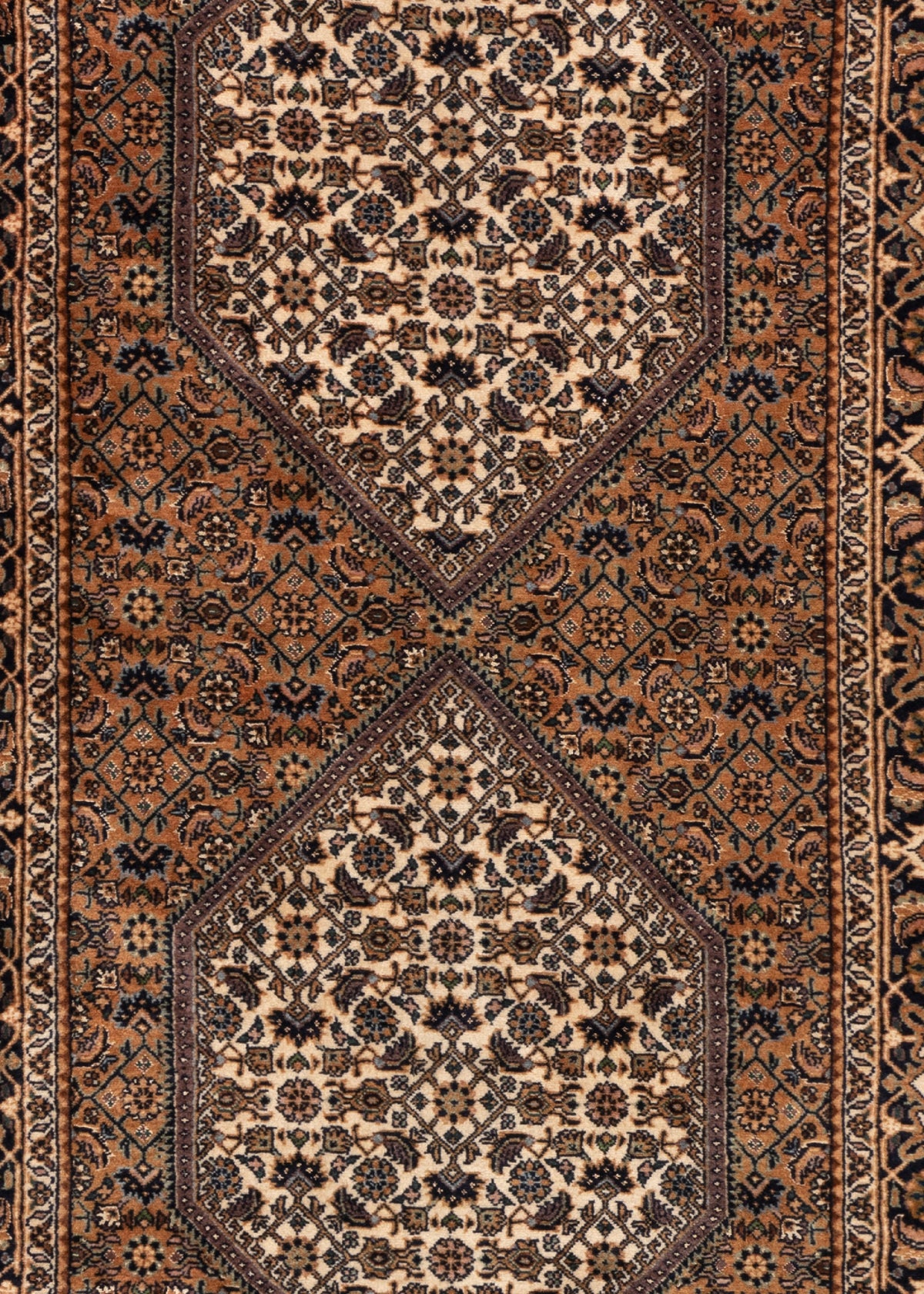 286 x 86 Bidjar