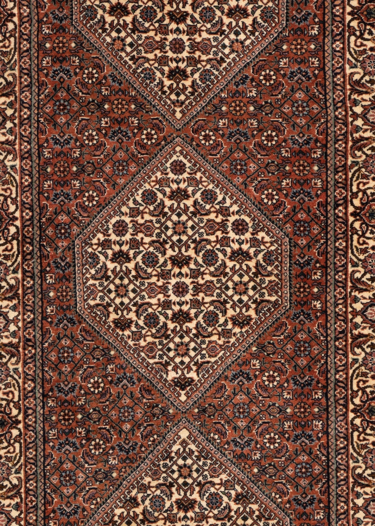 291 x 83 Bidjar