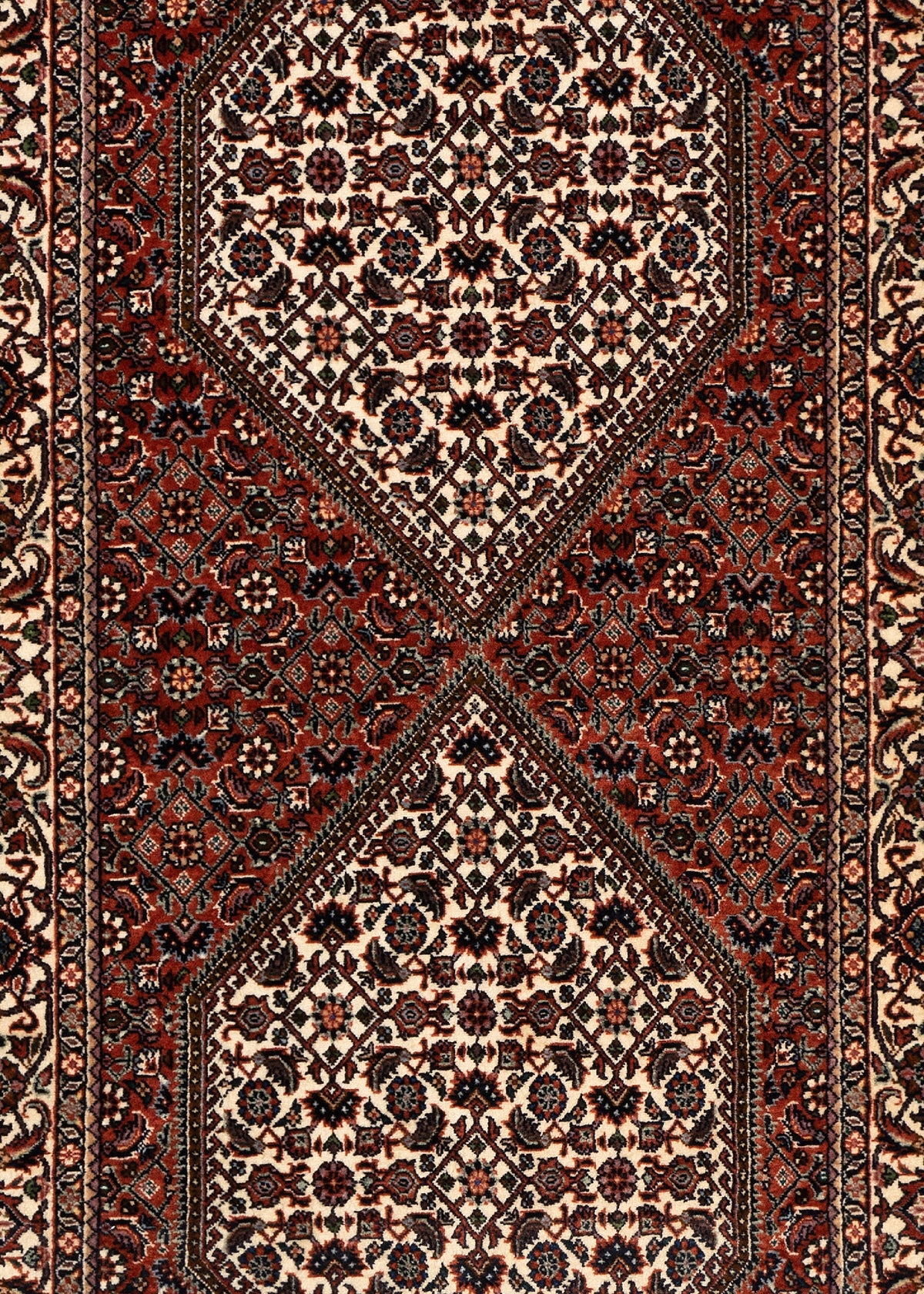 300 x 81 Bidjar