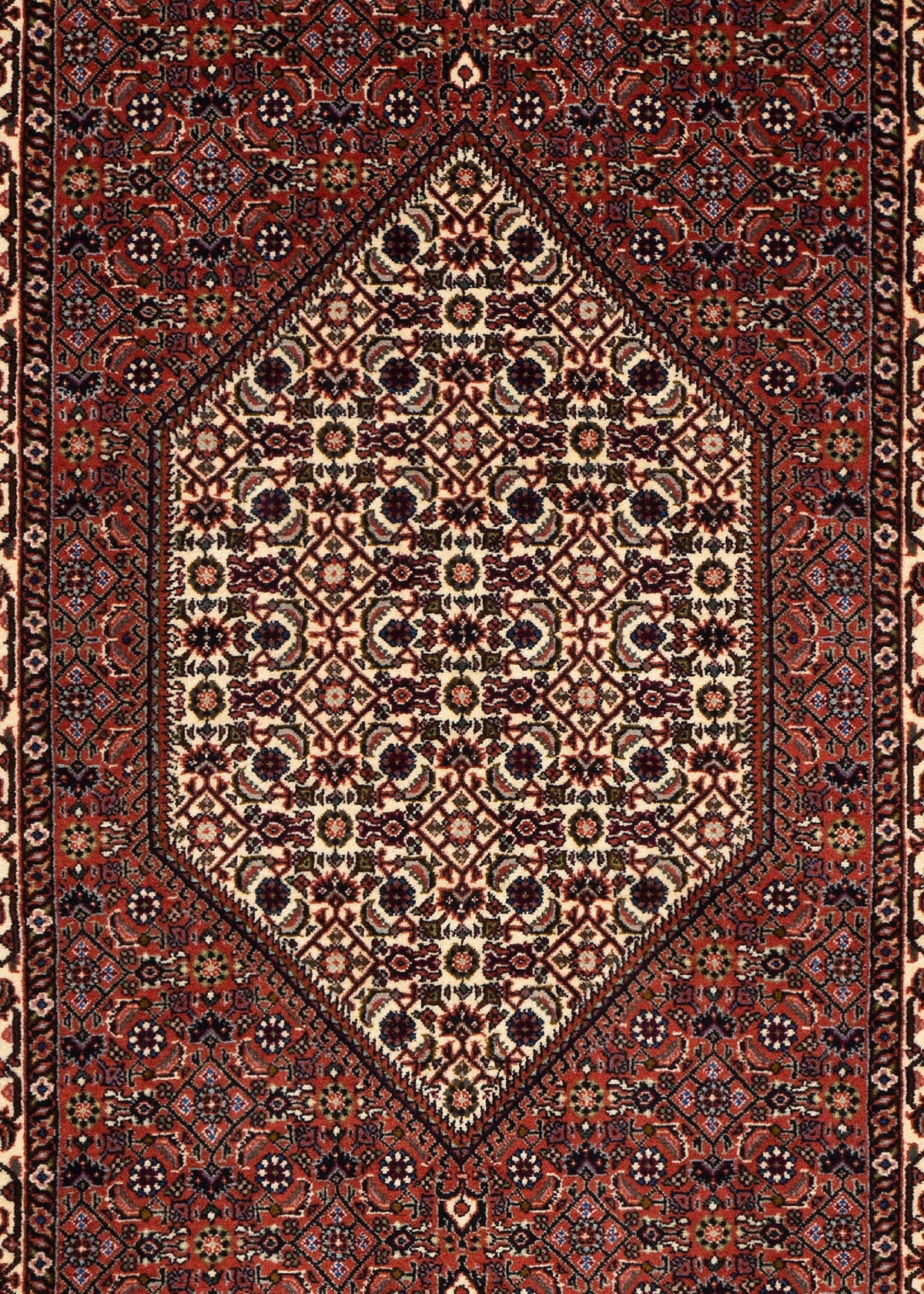 299 x 81 Bidjar