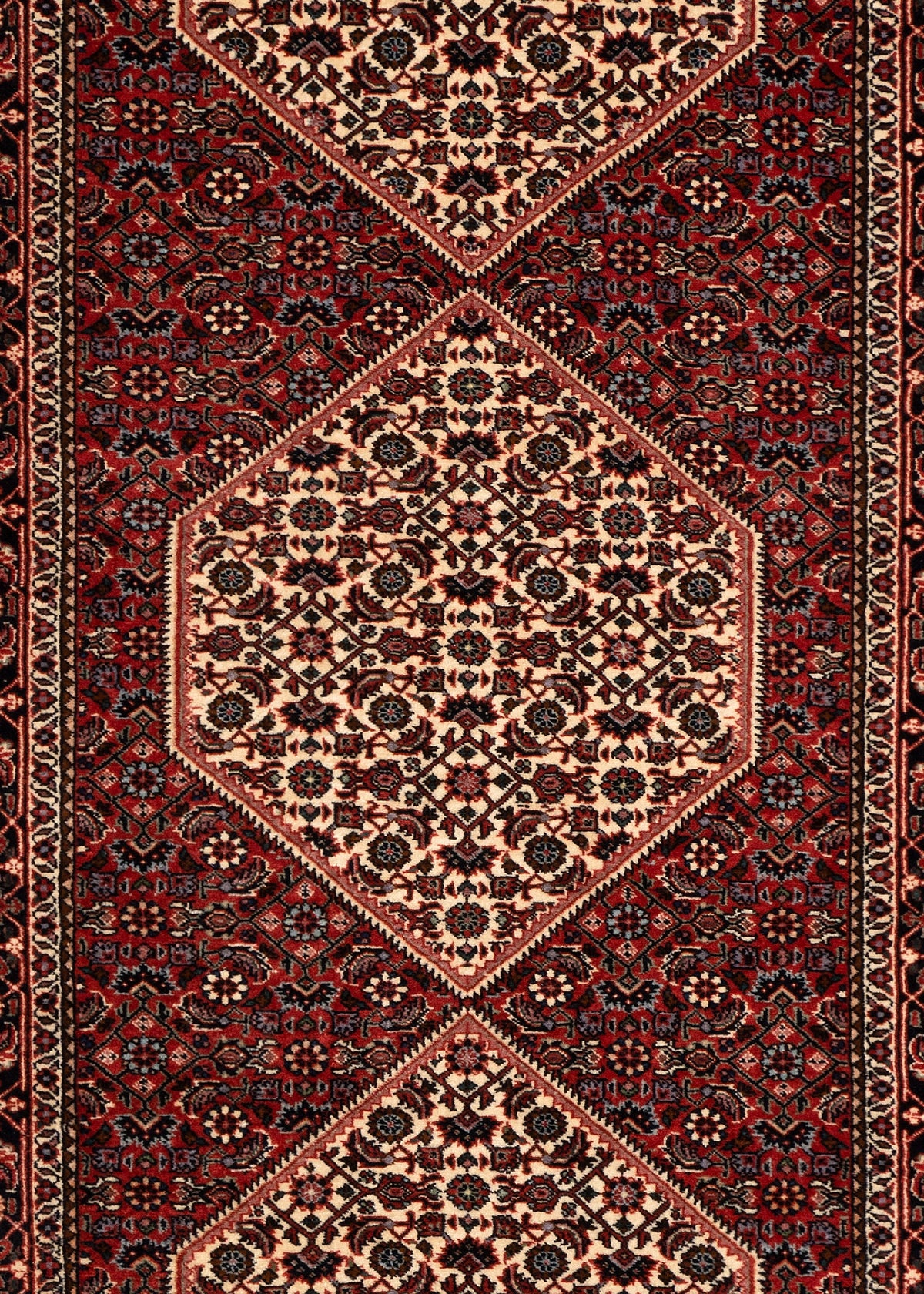 298 x 85 Bidjar