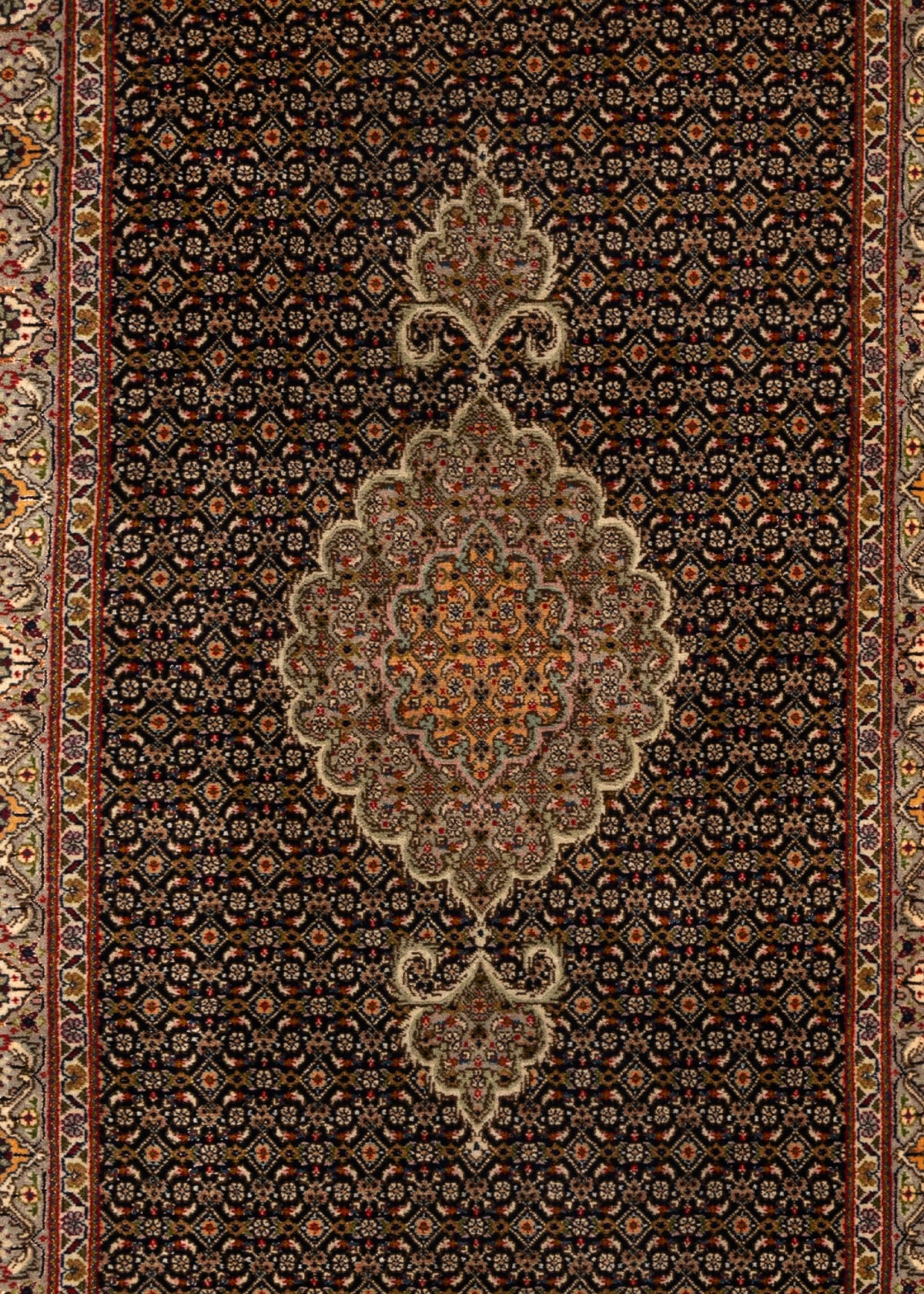 309x85 Tabriz Mahi