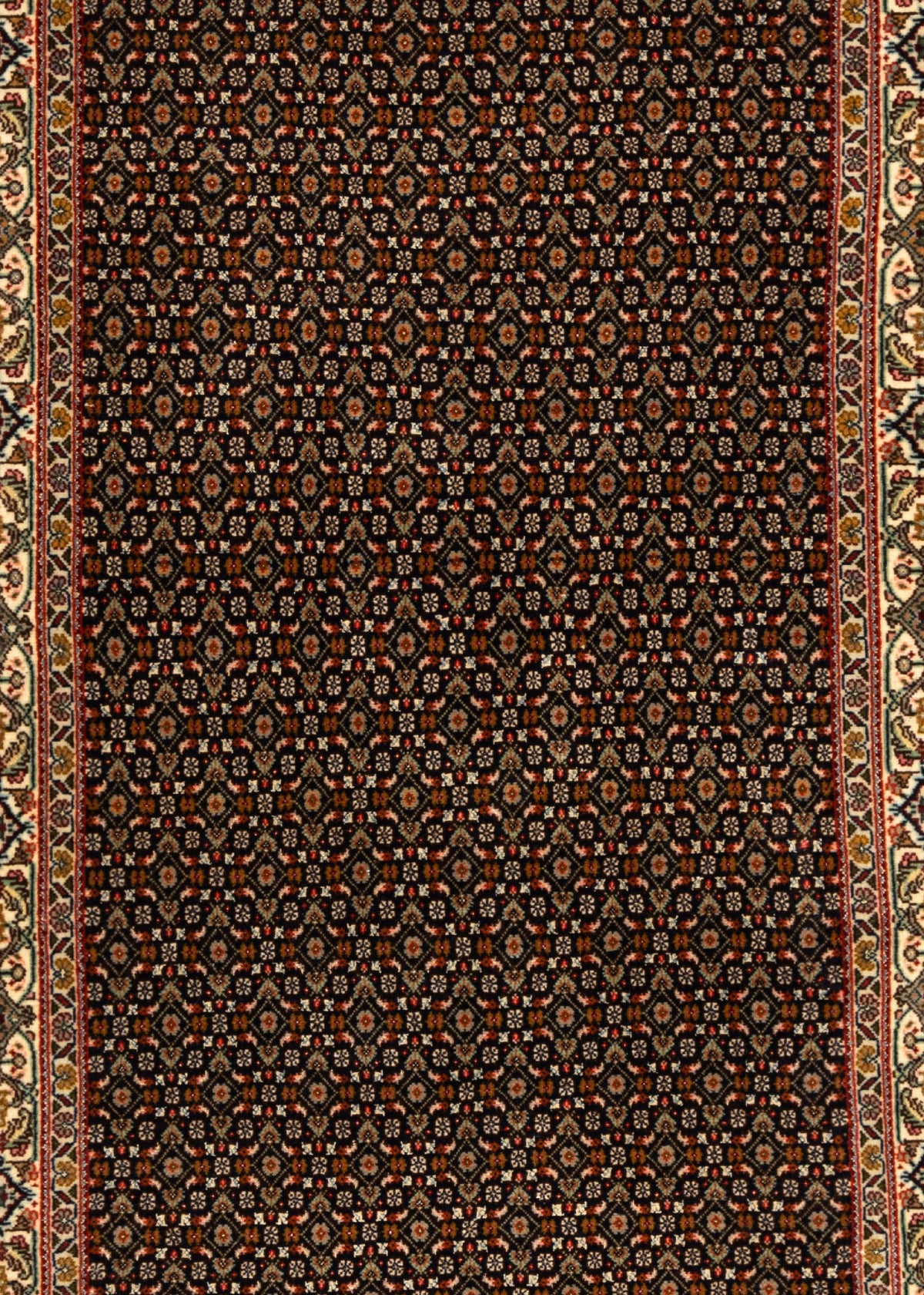 197x82 Tabriz Mahi