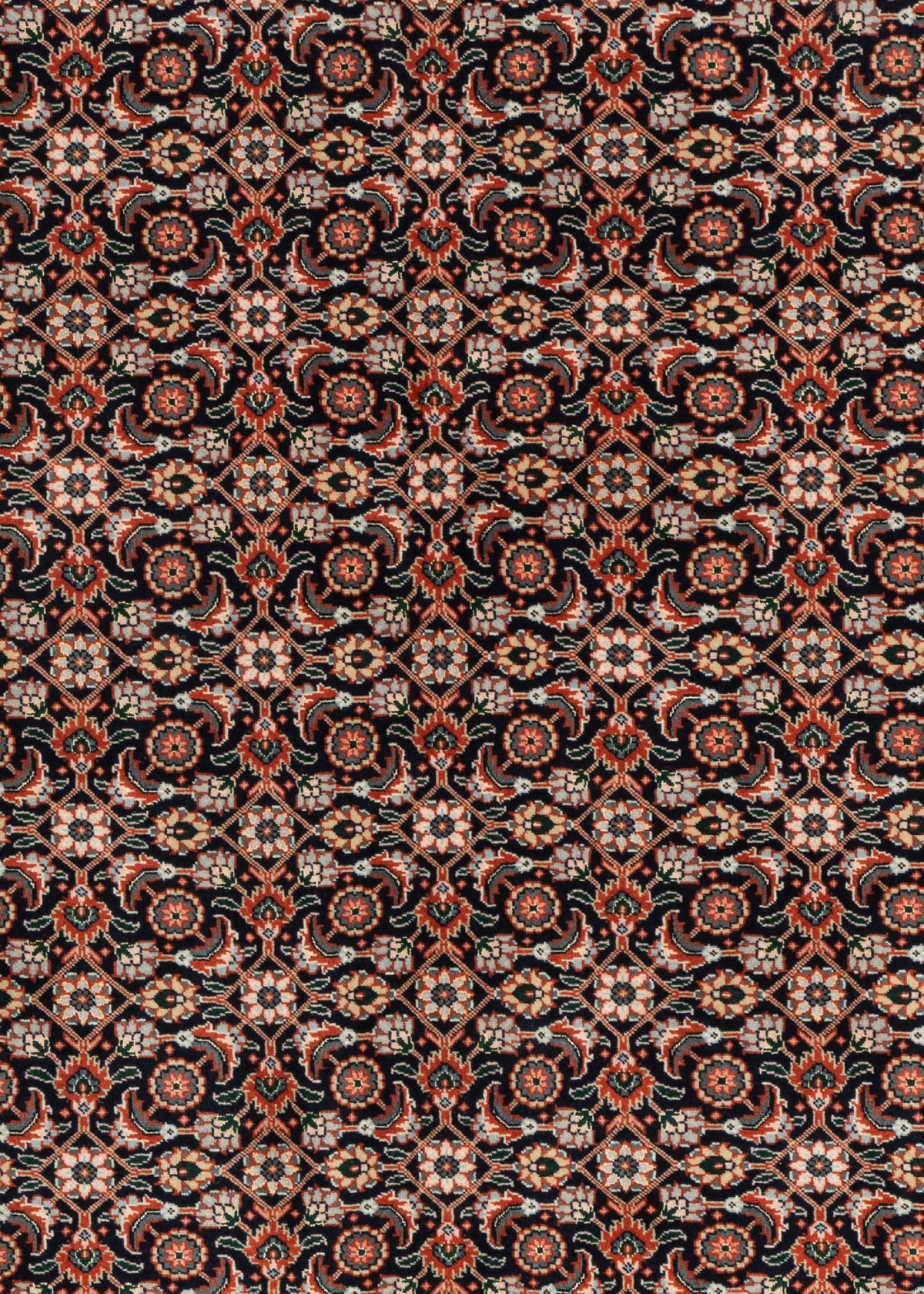 200x155 Tabriz Mahi