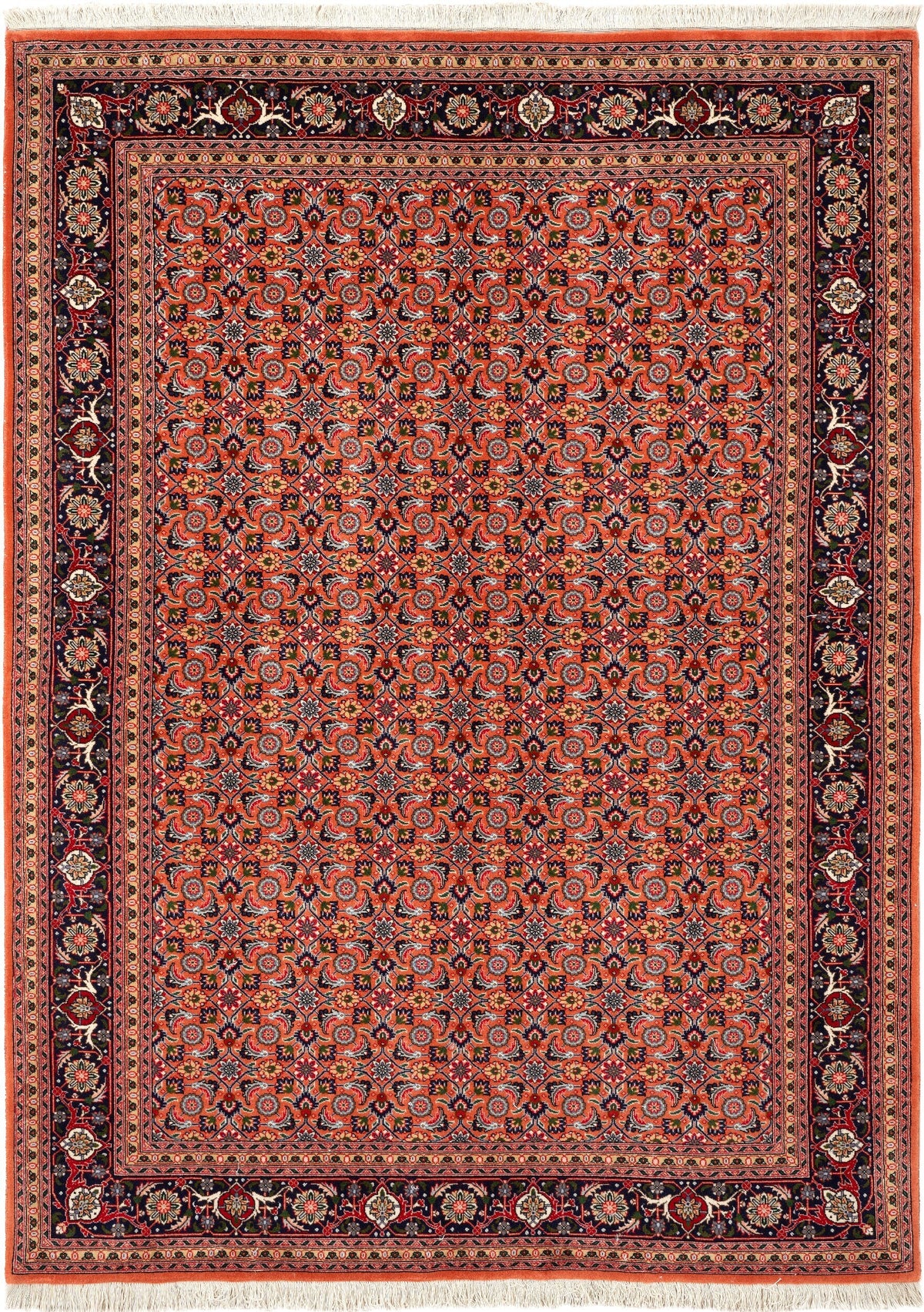 209x149 Tabriz Mahi