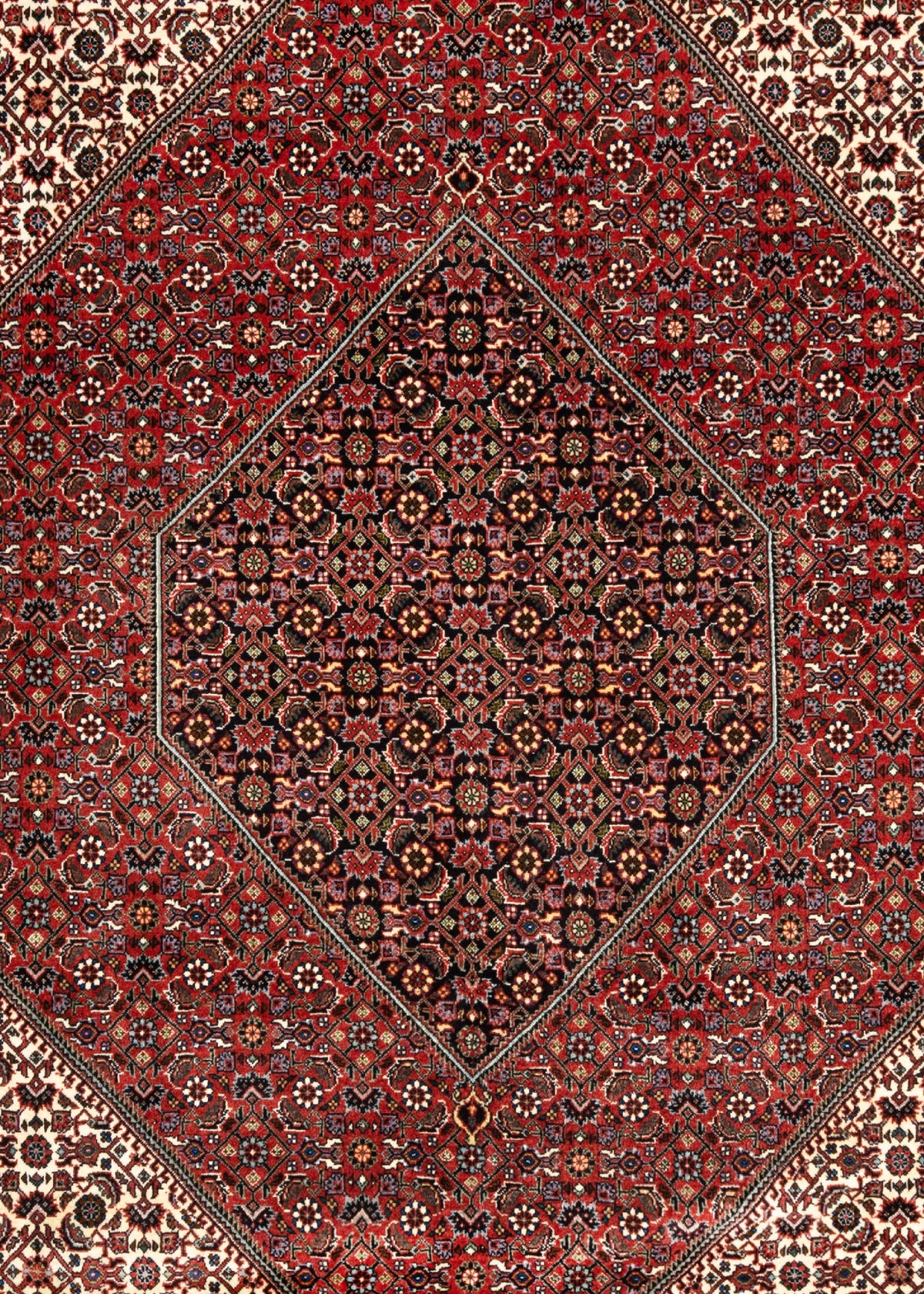 311x257 Bijar
