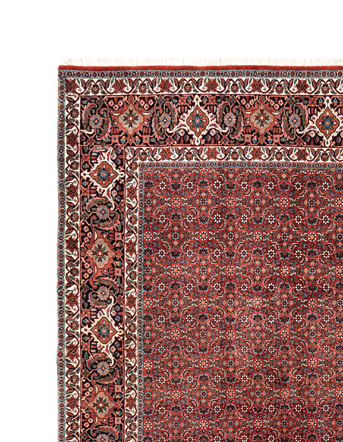 300 x 257 Bidjar