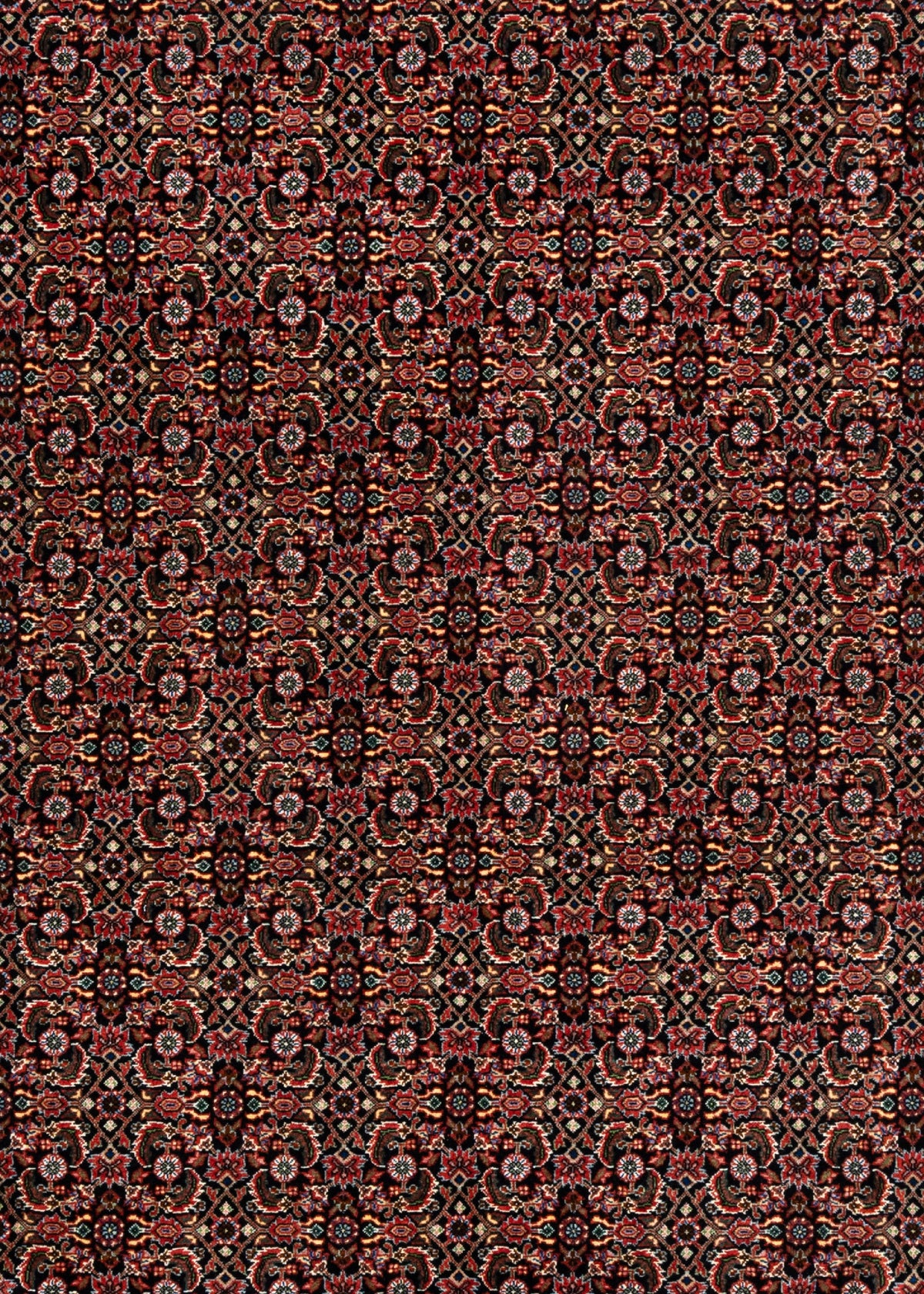 305x256 Bidjar