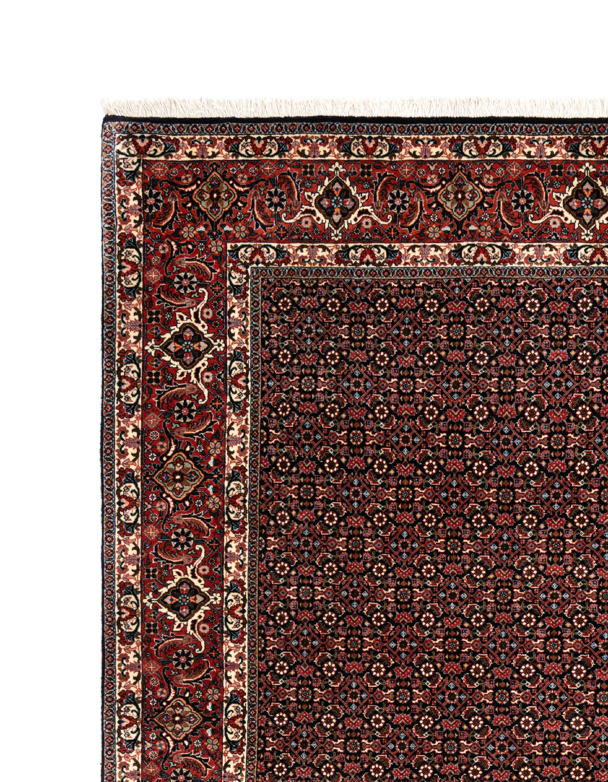 298 x 250 Bidjar