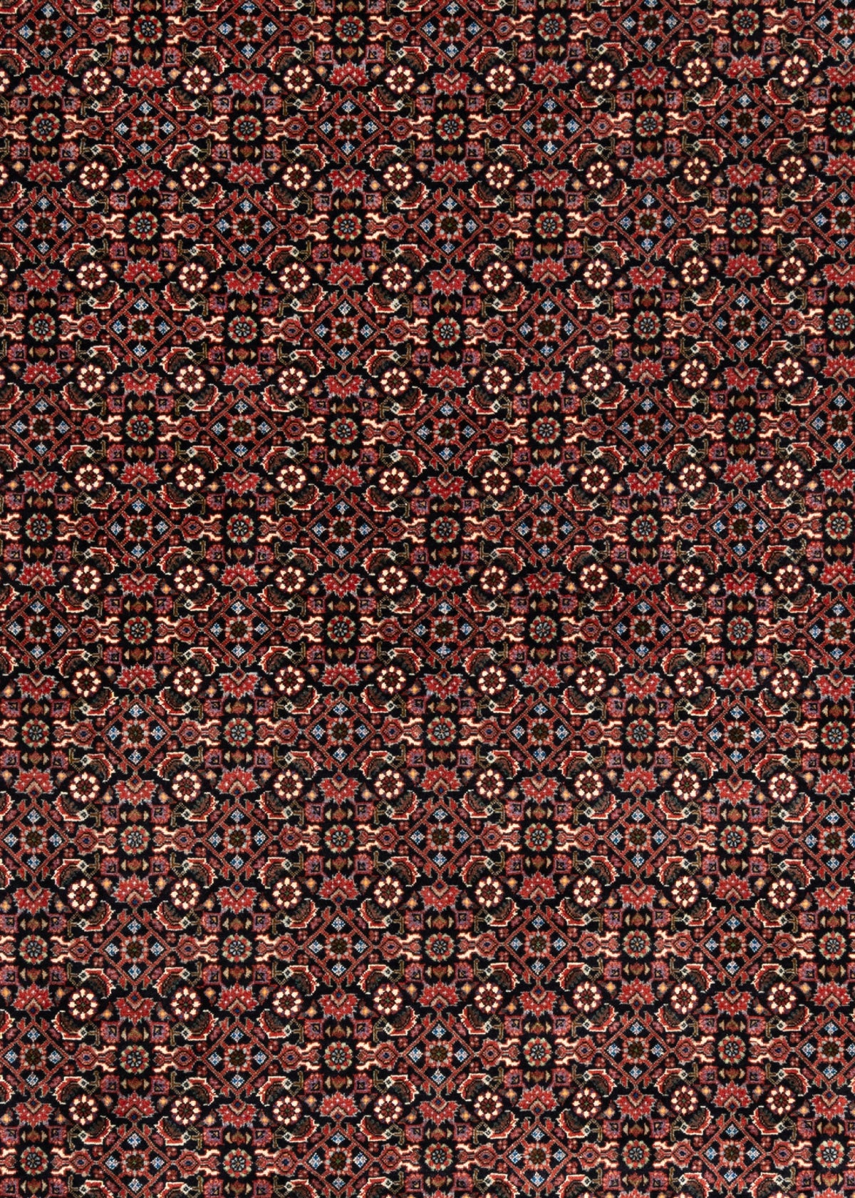 298 x 250 Bidjar