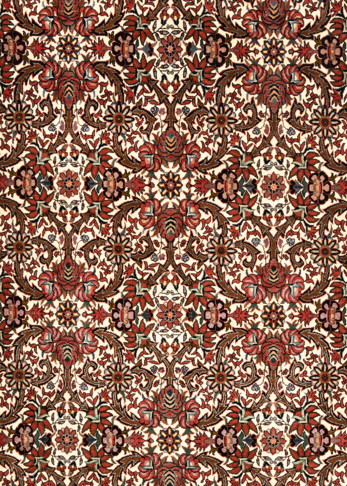 295 x 257 Bidjar