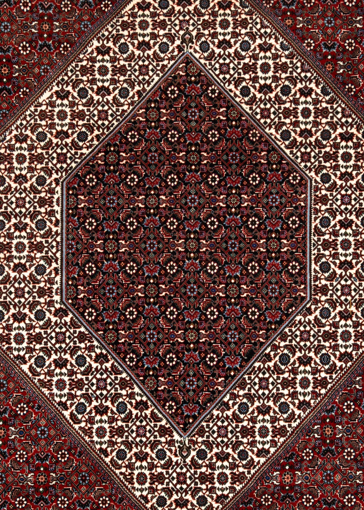 351 x 251 Bidjar