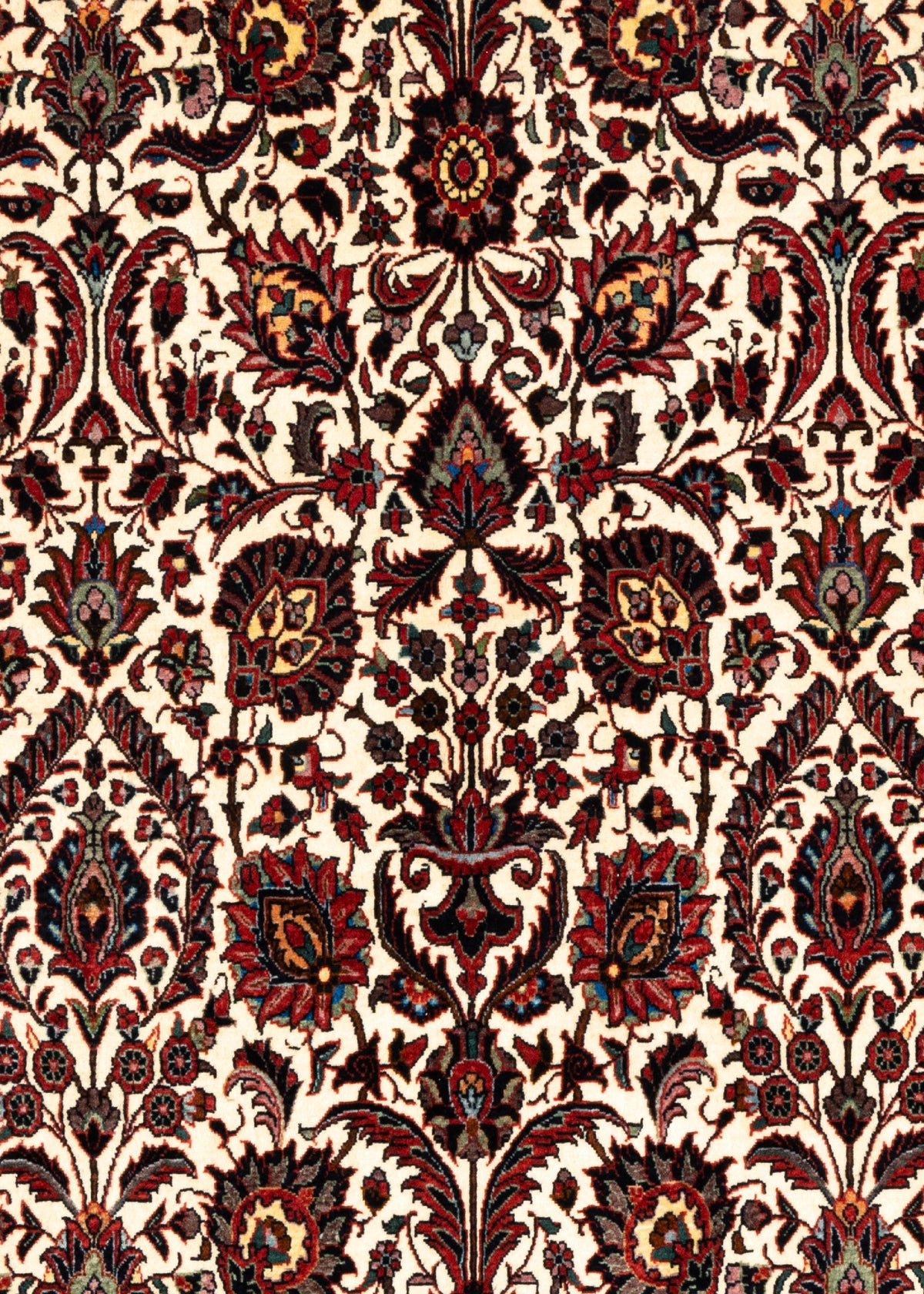 167 x 148 Bidjar