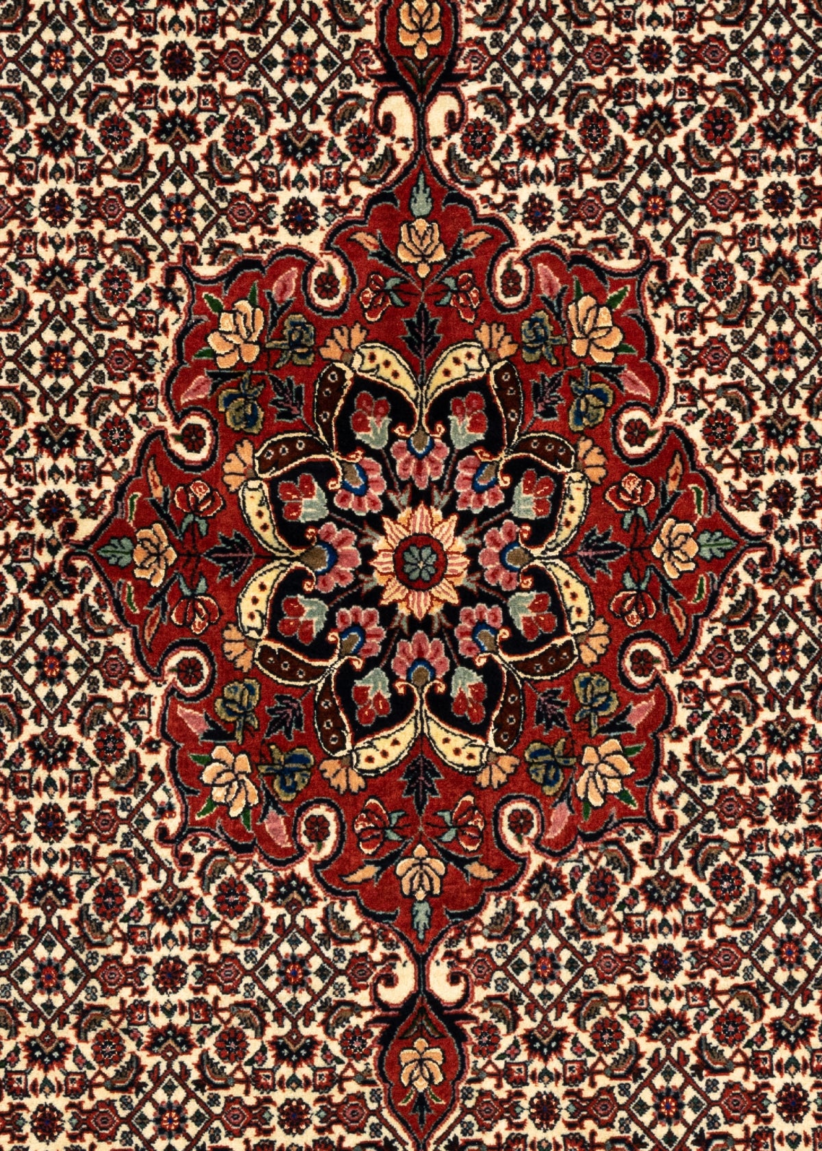210x149 Bidjar