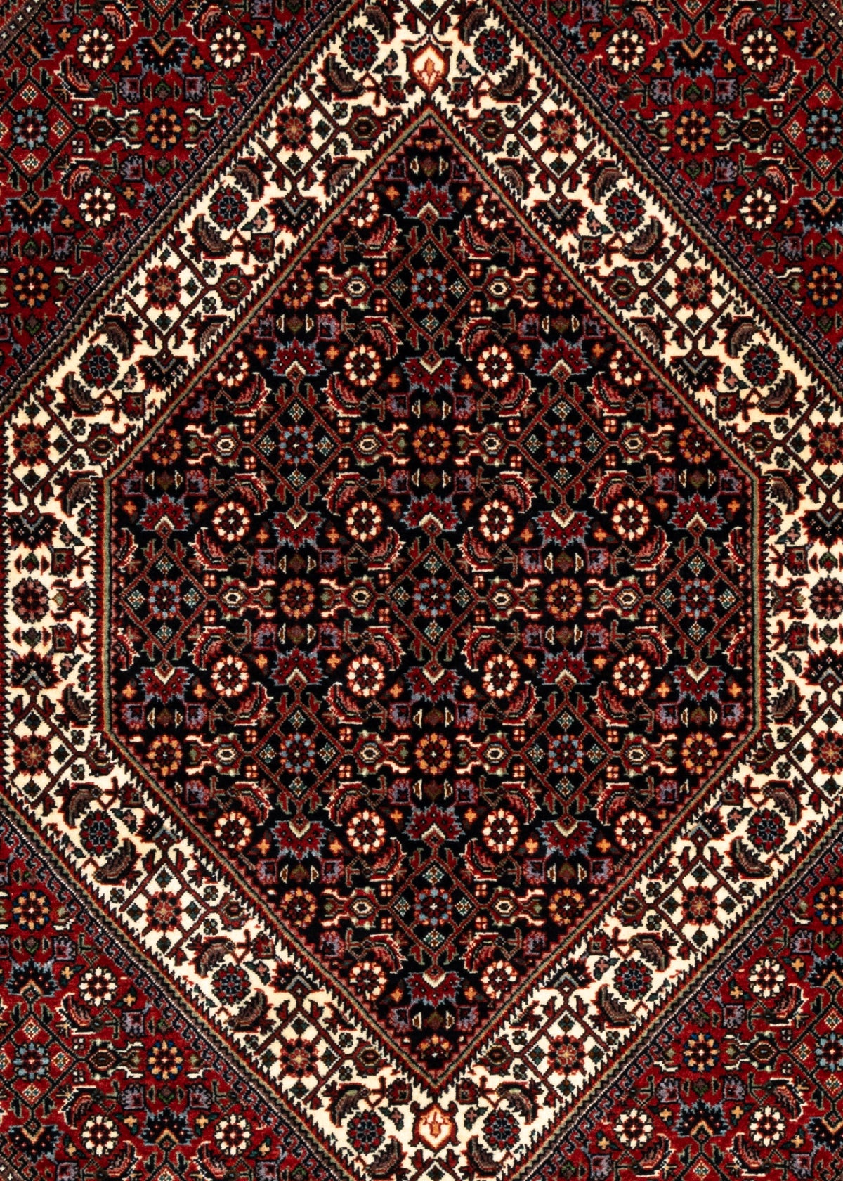 214x142 Bidjar