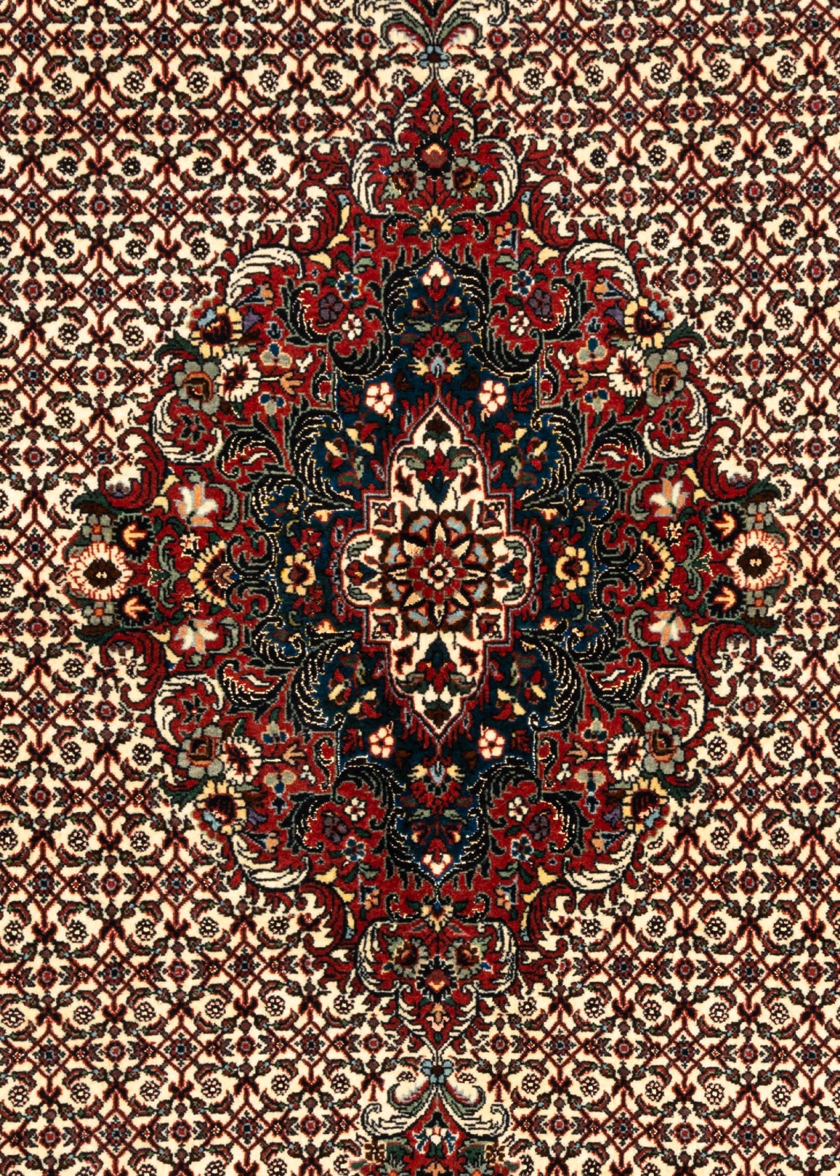 202 x 152 Bidjar