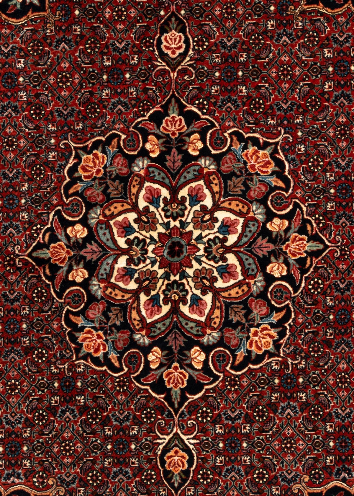 201x151 Bidjar