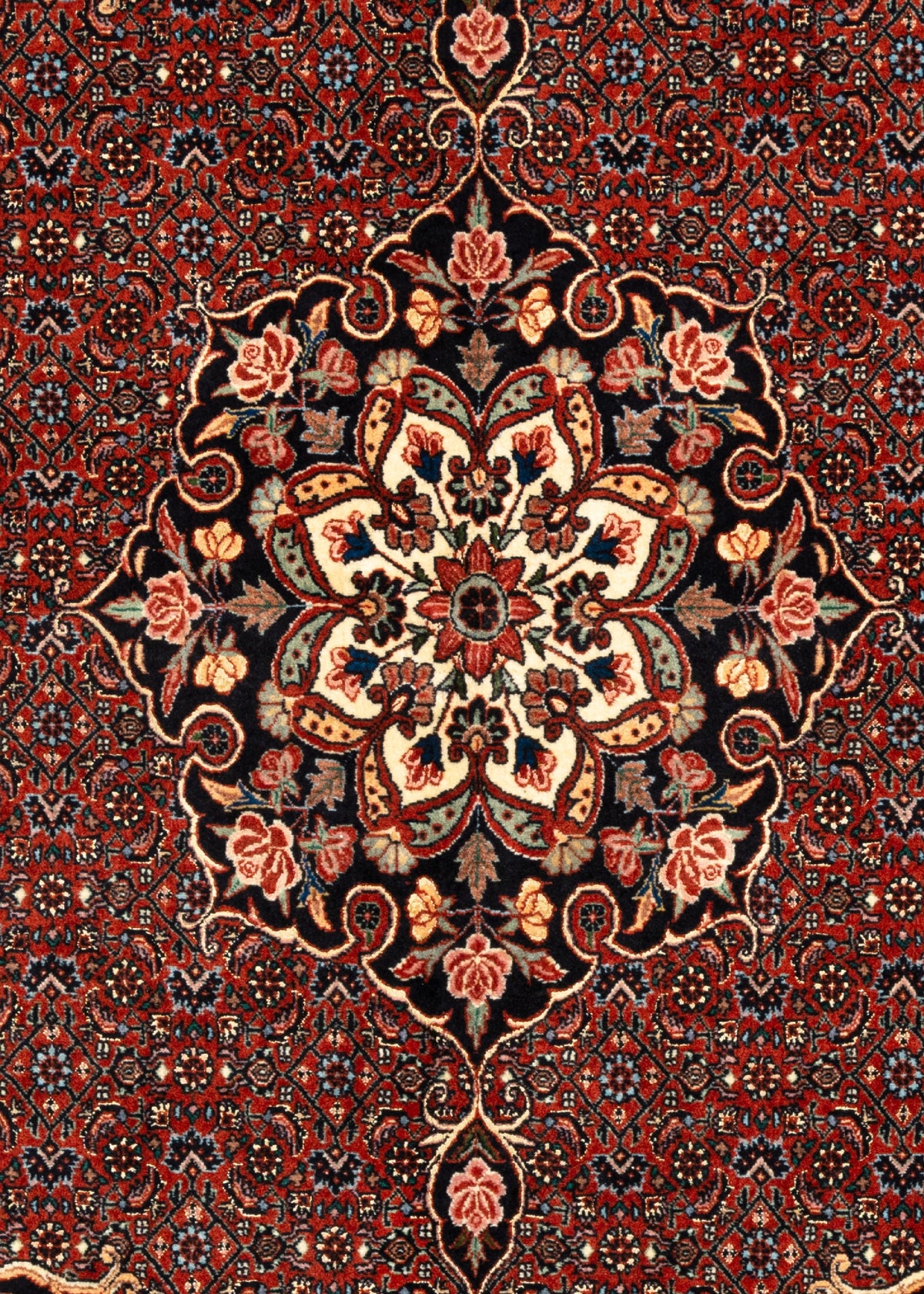 210x155 Bidjar