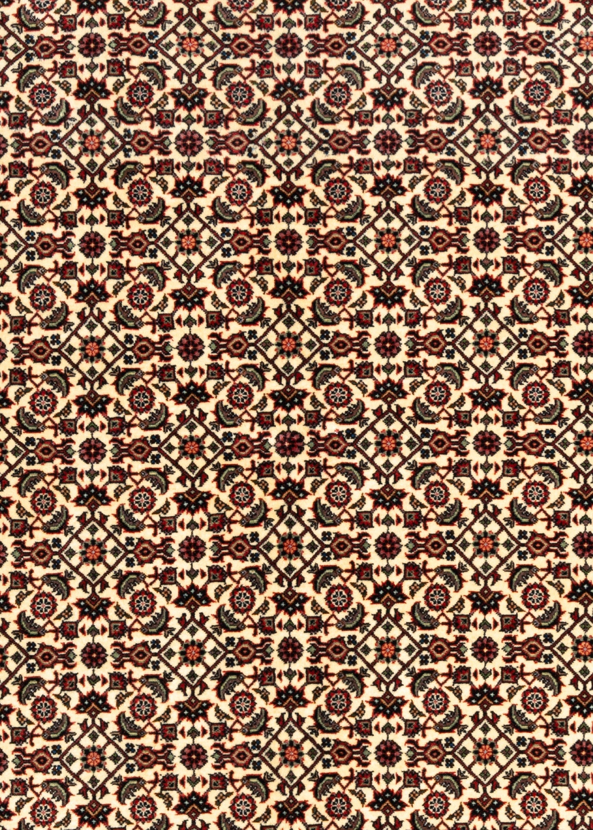 212 x 144 Bidjar