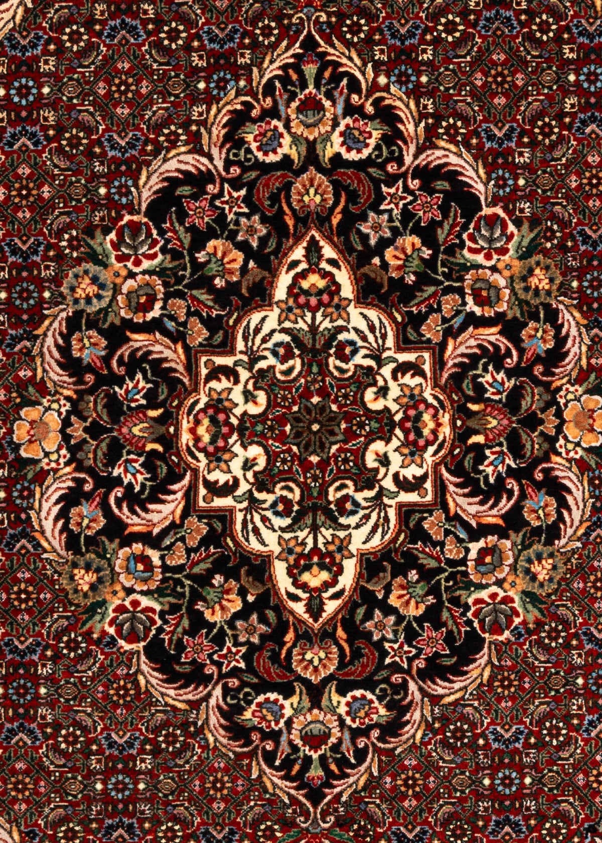 197 x 152 Bidjar