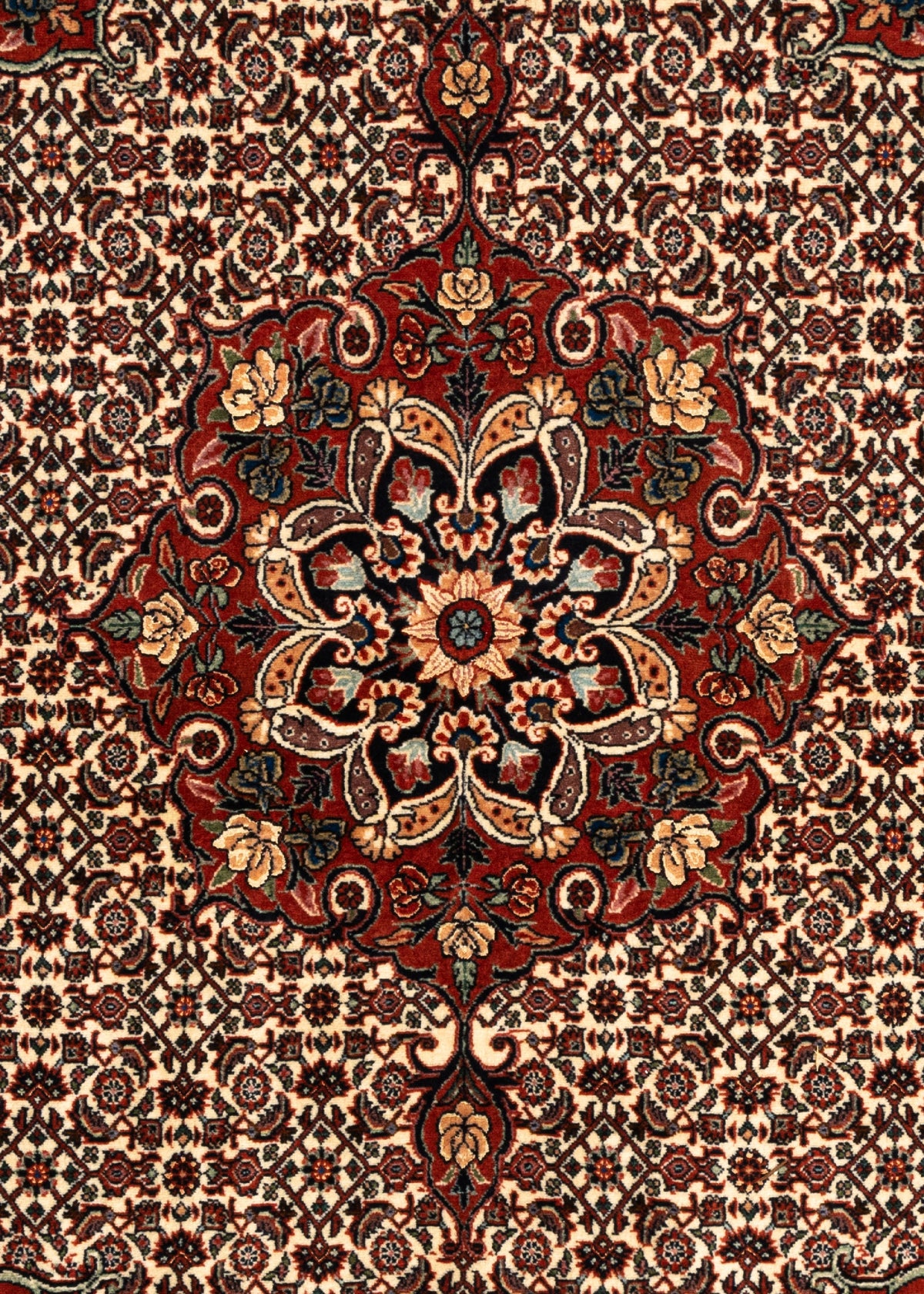 199 x 151 Bidjar
