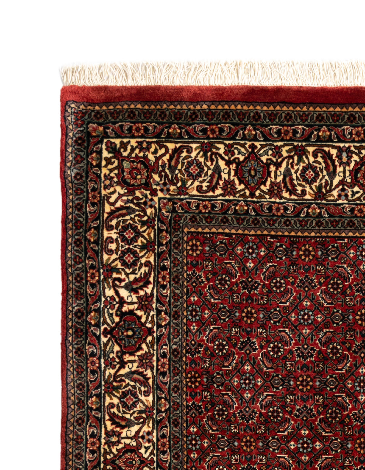 209 x 134 Bidjar