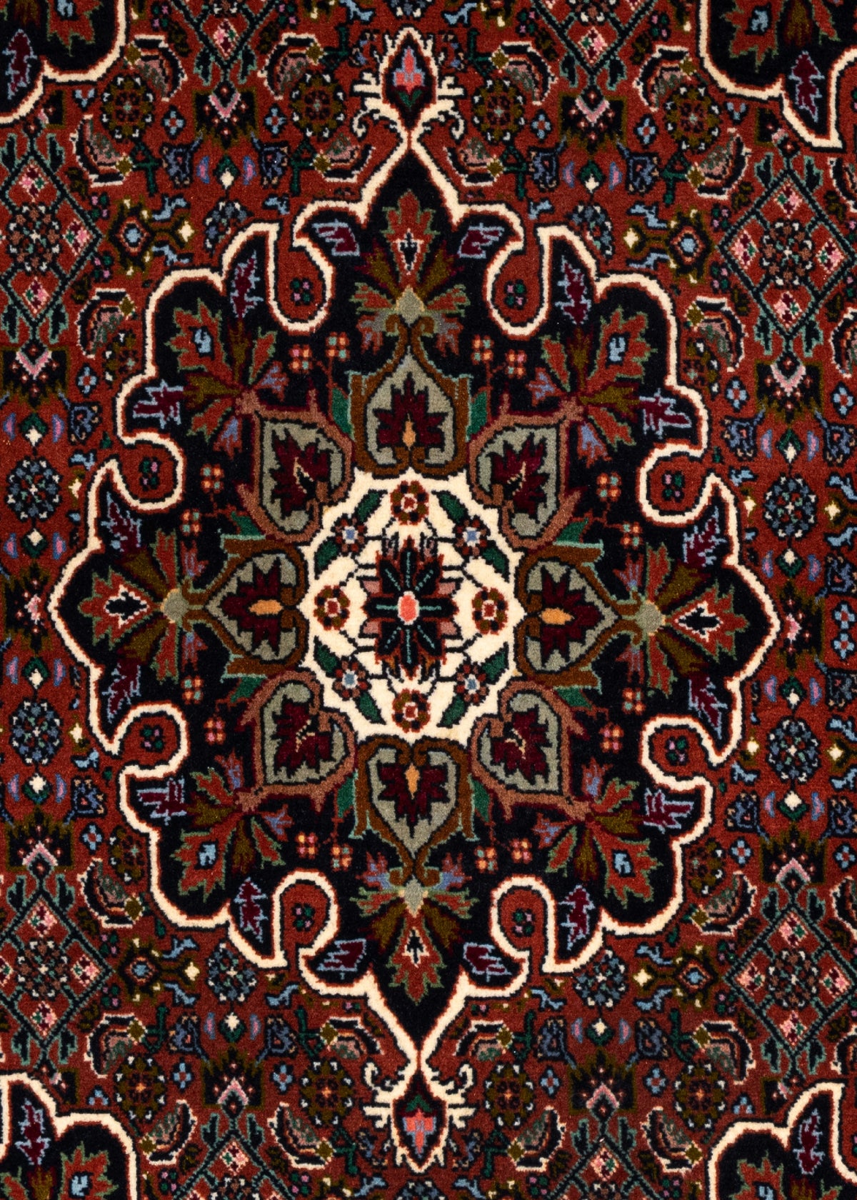 110 x 78 Bidjar