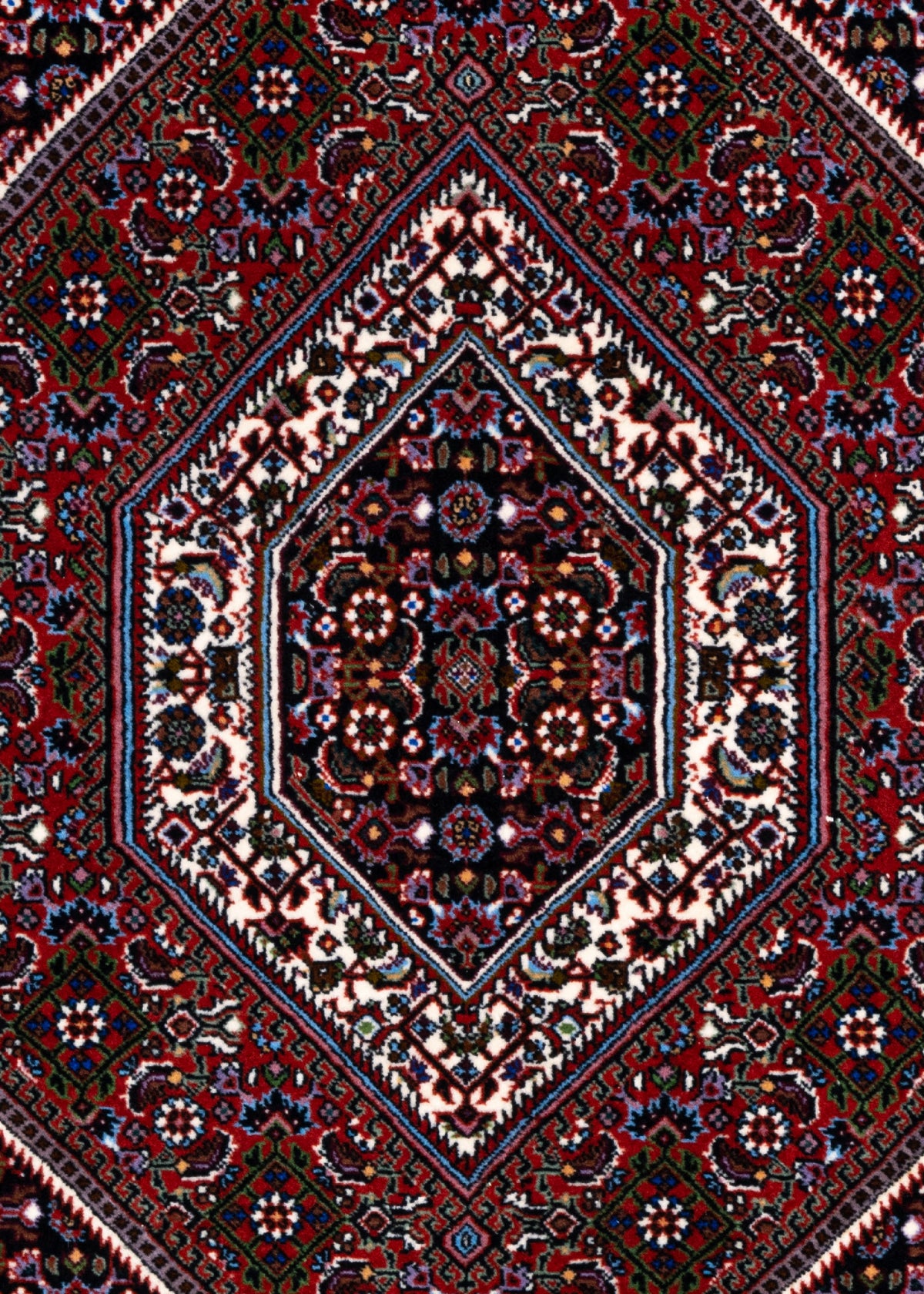 105 x 76 Bidjar