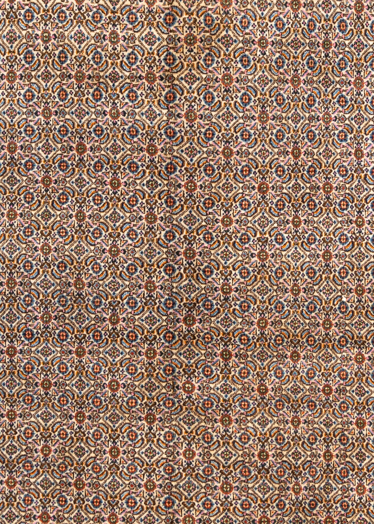 290x193 Moud