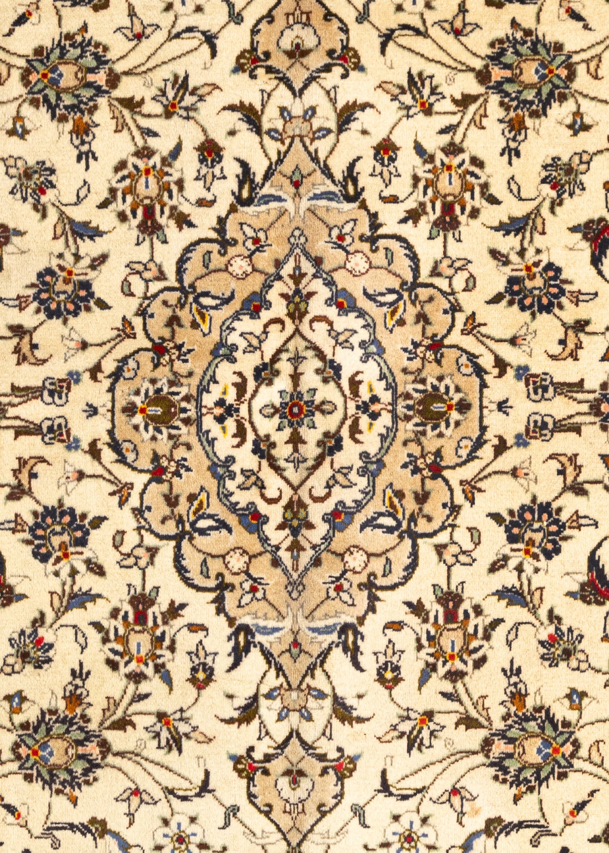 293 x 197 Keshan