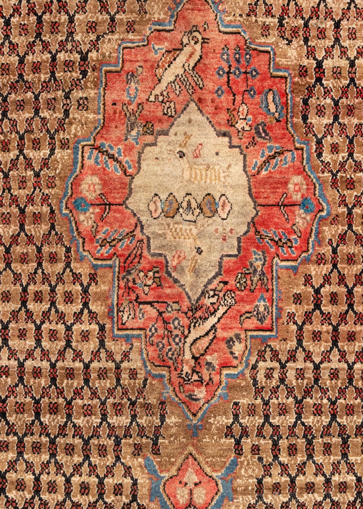 309 x 156 Hamadan