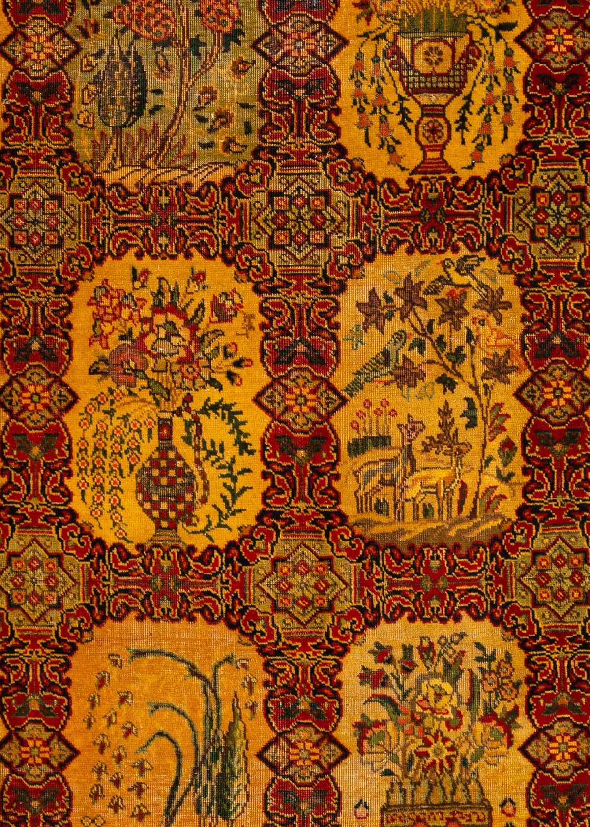 337x244 Tabriz