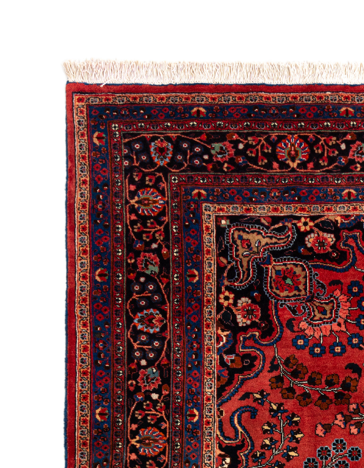 280x203 Arak
