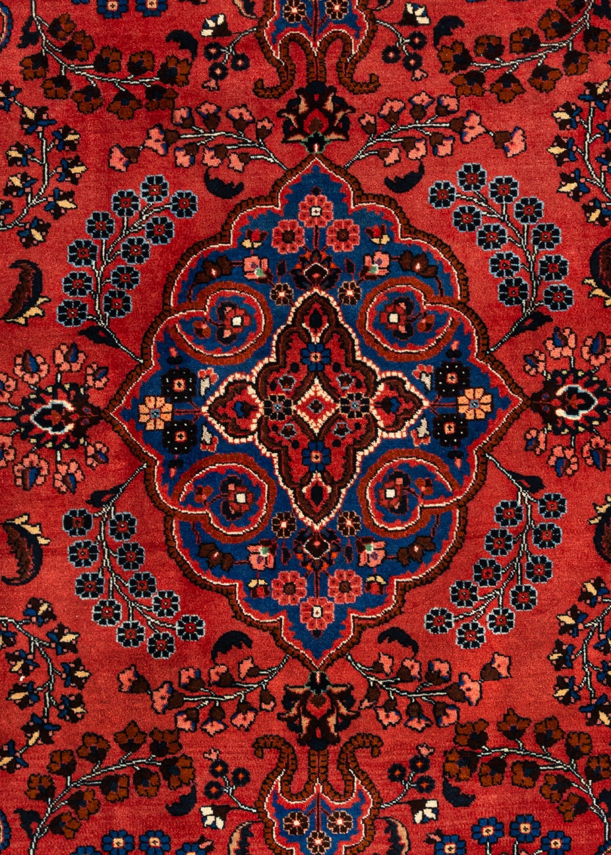 280x203 Arak